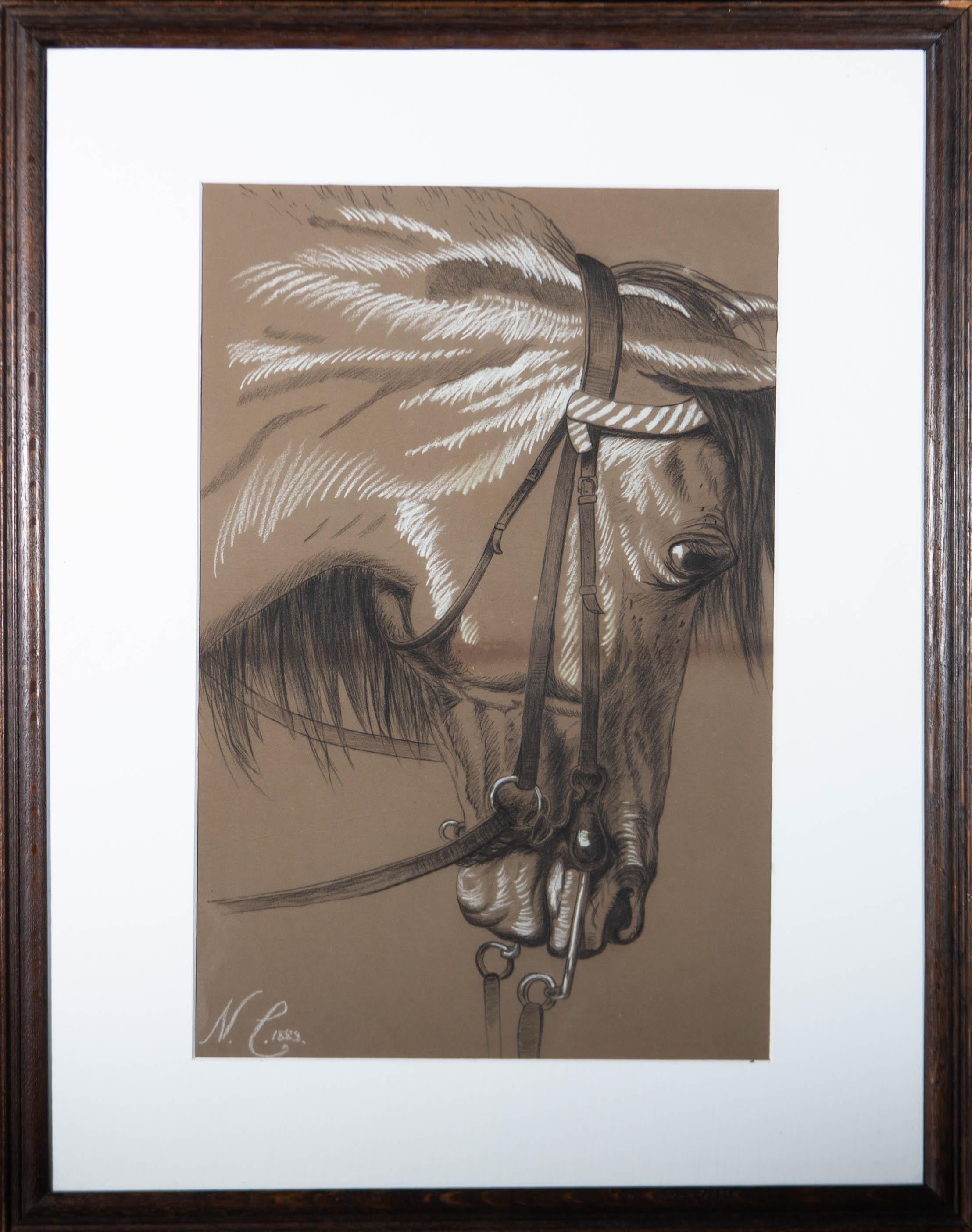 horse drawings head