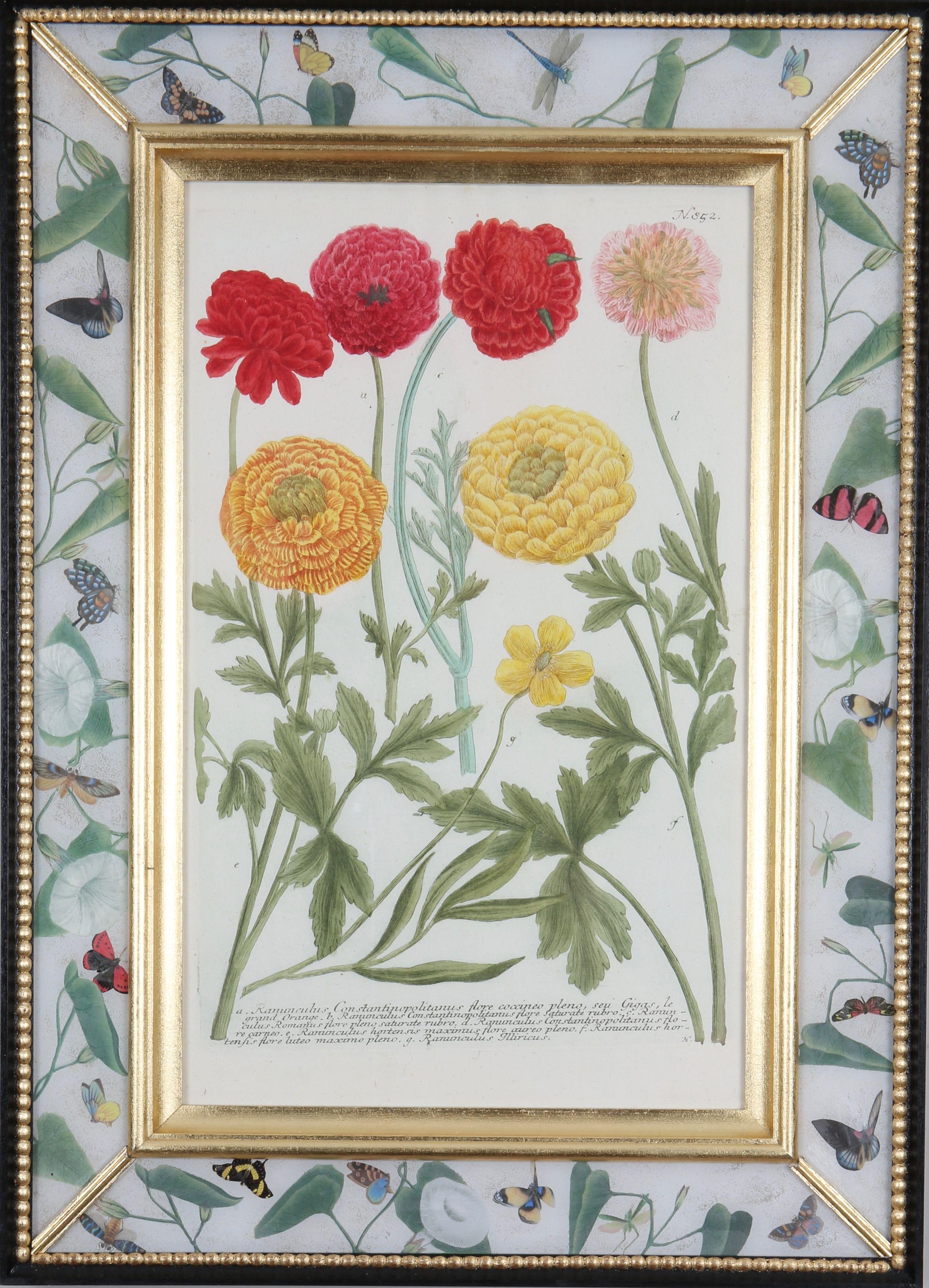 Un groupe de gravures de fleurs en taille-douce provenant de : "Phytanthoza Iconographia",  c1739, présentés dans des cadres artisanaux en or blanc, ébénisterie et décalcomanie. 

Johann Weinmann (1683-1741), pharmacien et apothicaire allemand, est