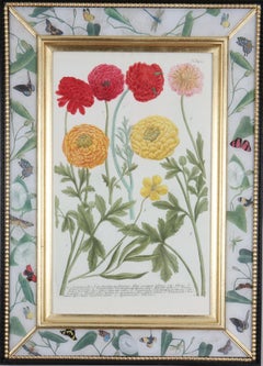 Johann Weinmann: c18th Botanical Engravings in Decalcomania Frames, Set of 6