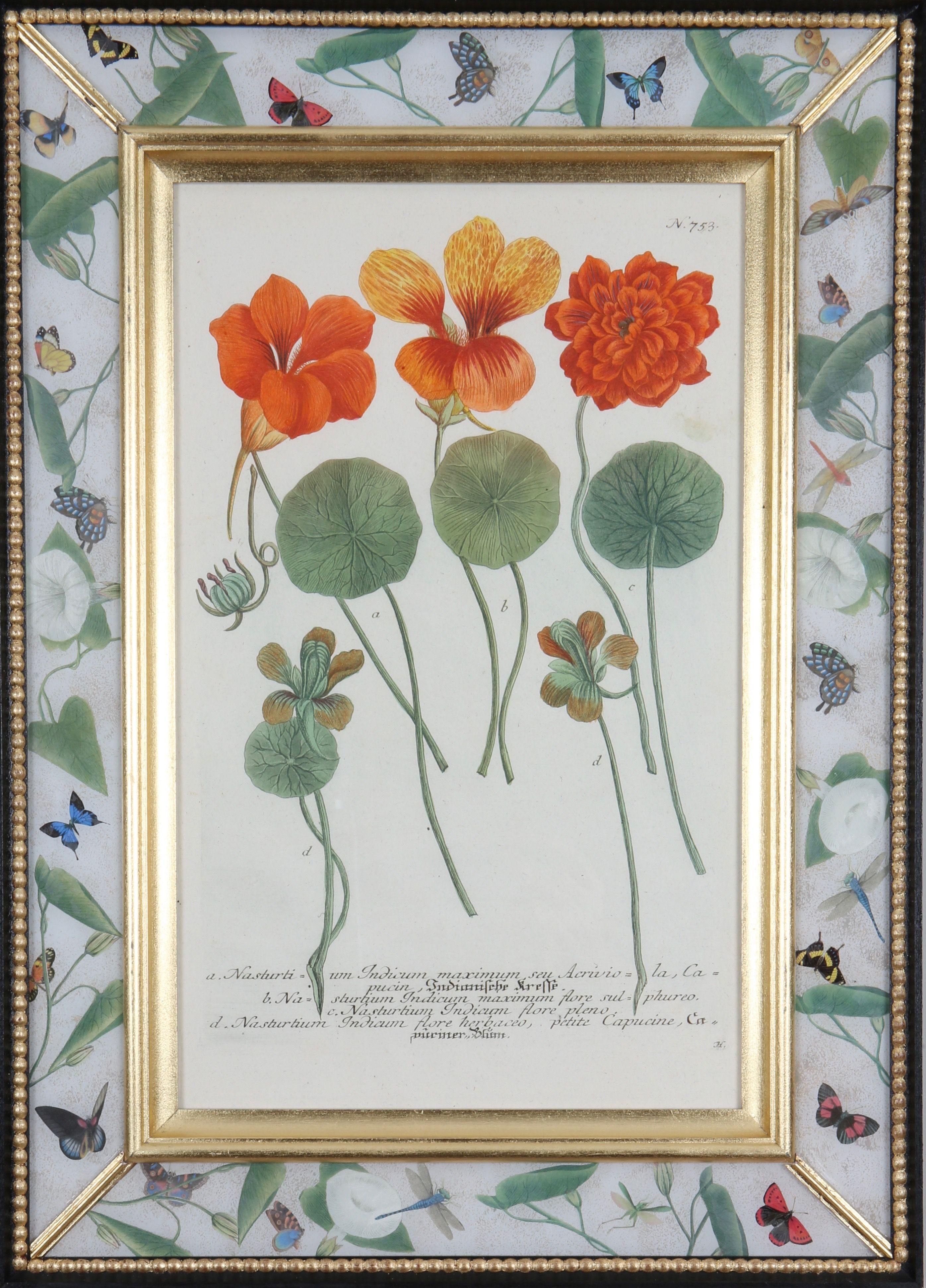 Johann Weinmann: c18th Botanical Engravings in Decalcomania Frames, Set of 6 For Sale 4