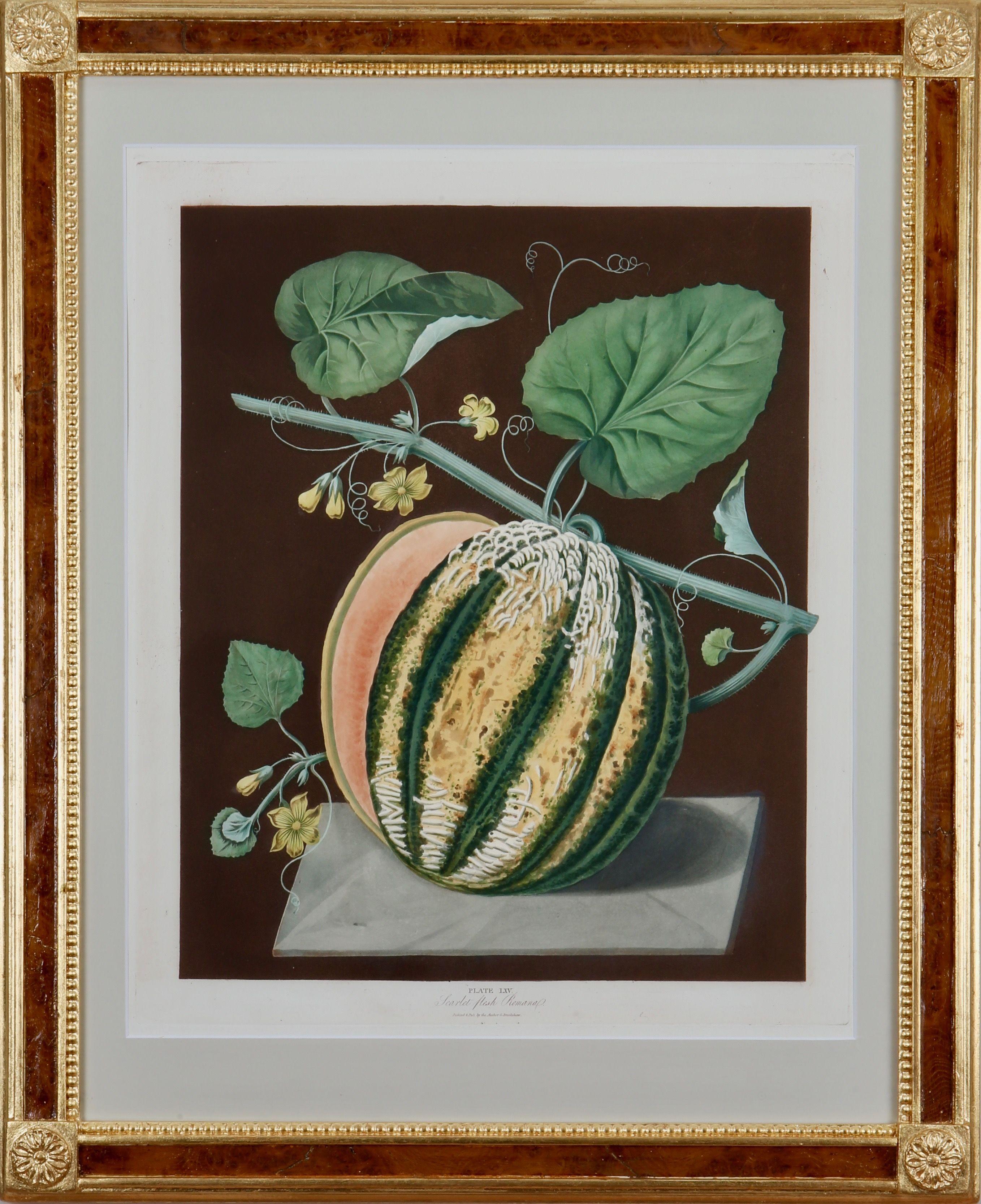 The "Pomona Britannica" (1812) depicts varieties of fruits cultivated at the Royal Gardens at Hampton Court and Kensington Gardens at the beginning of the nineteenth century. Brookshaw was originally a cabinet-maker but abandoned this career in