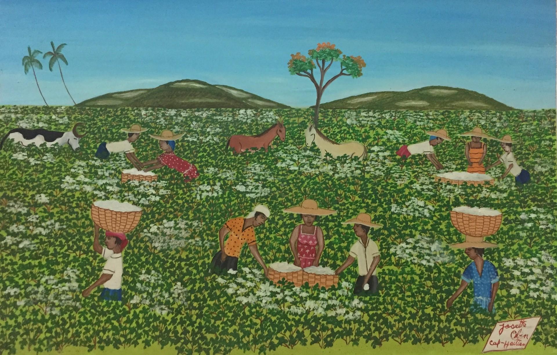 Cotton Fields #6-2-95MFN - Art by Josette Obin 