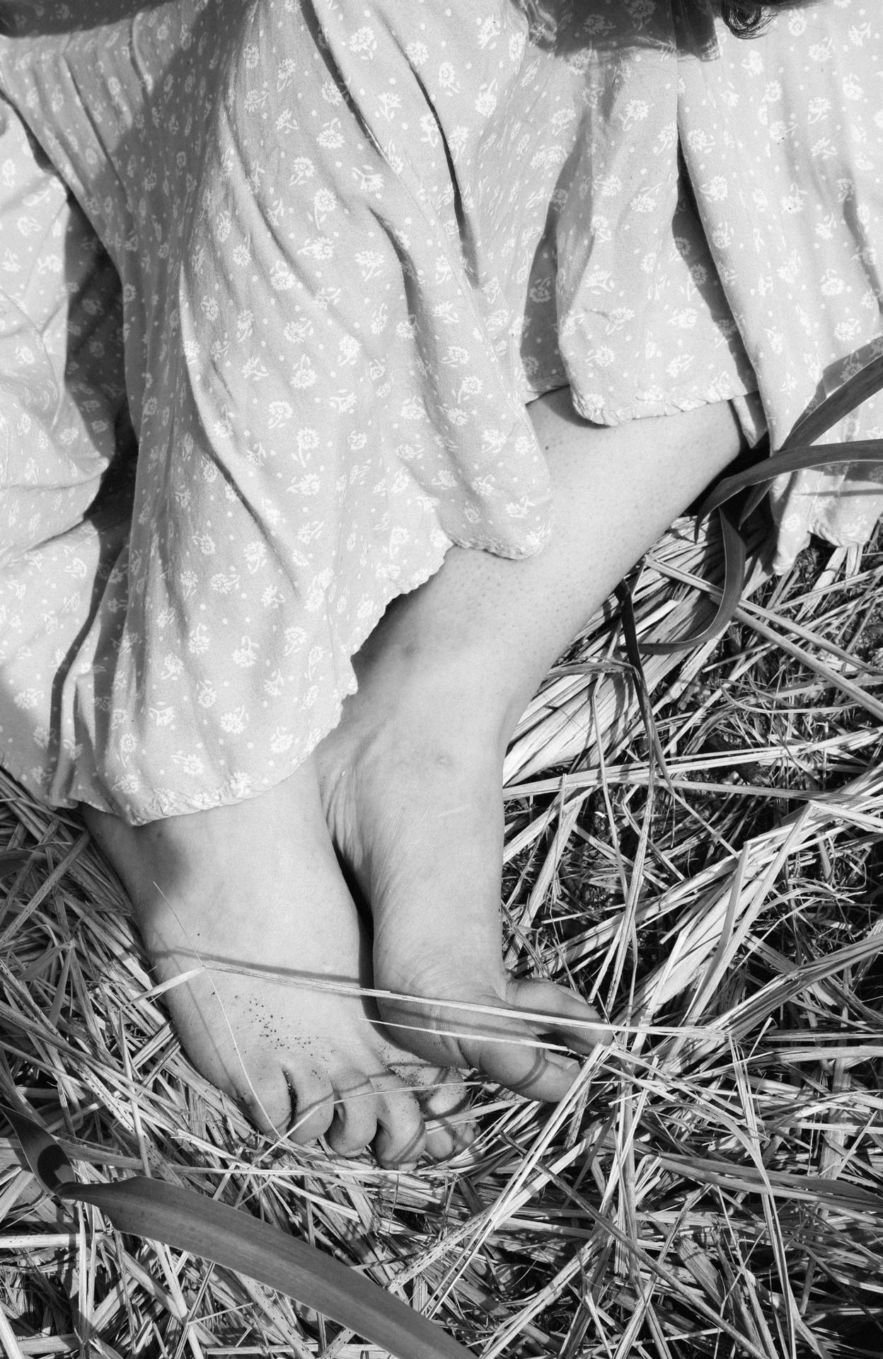 Antonia Stoyanovich Black and White Photograph - Summer Grass