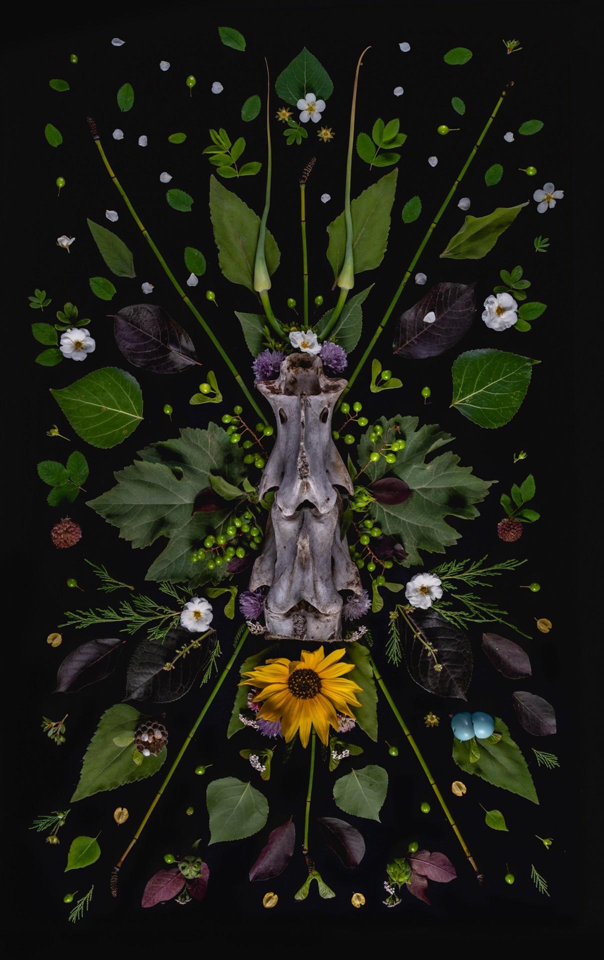 Totem