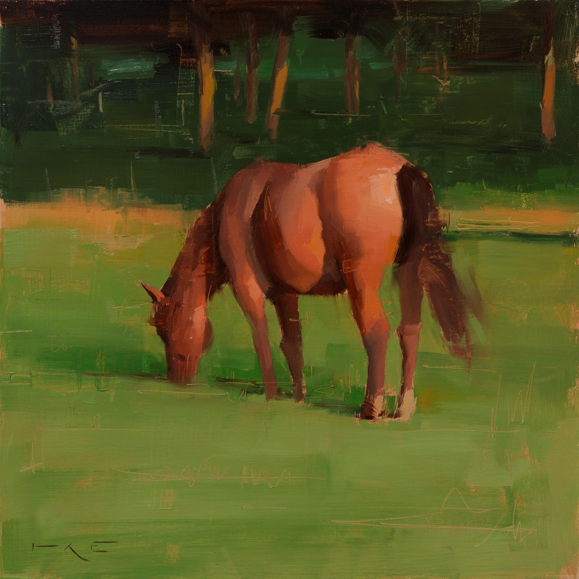 American Horse 2 - Art by Thorgrimur Einarsson