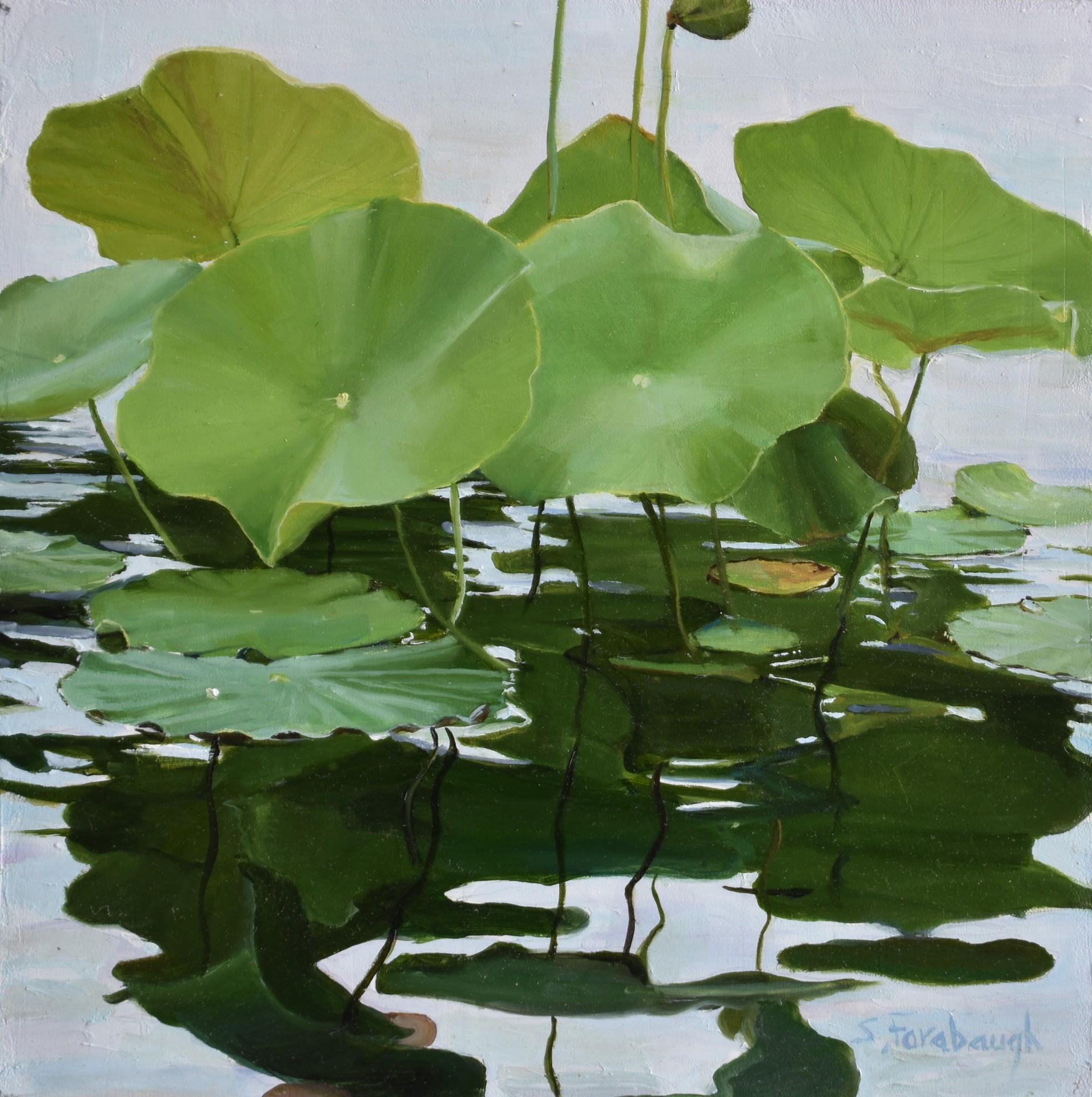 Lotus Leaves - Art by Sheri Farabaugh