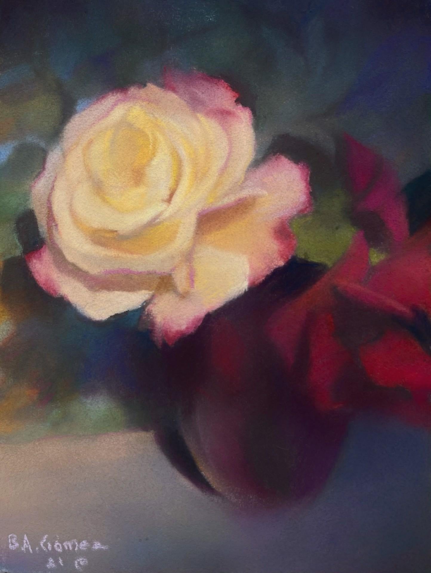 Weber's Rose - Art de Bruce A Gómez