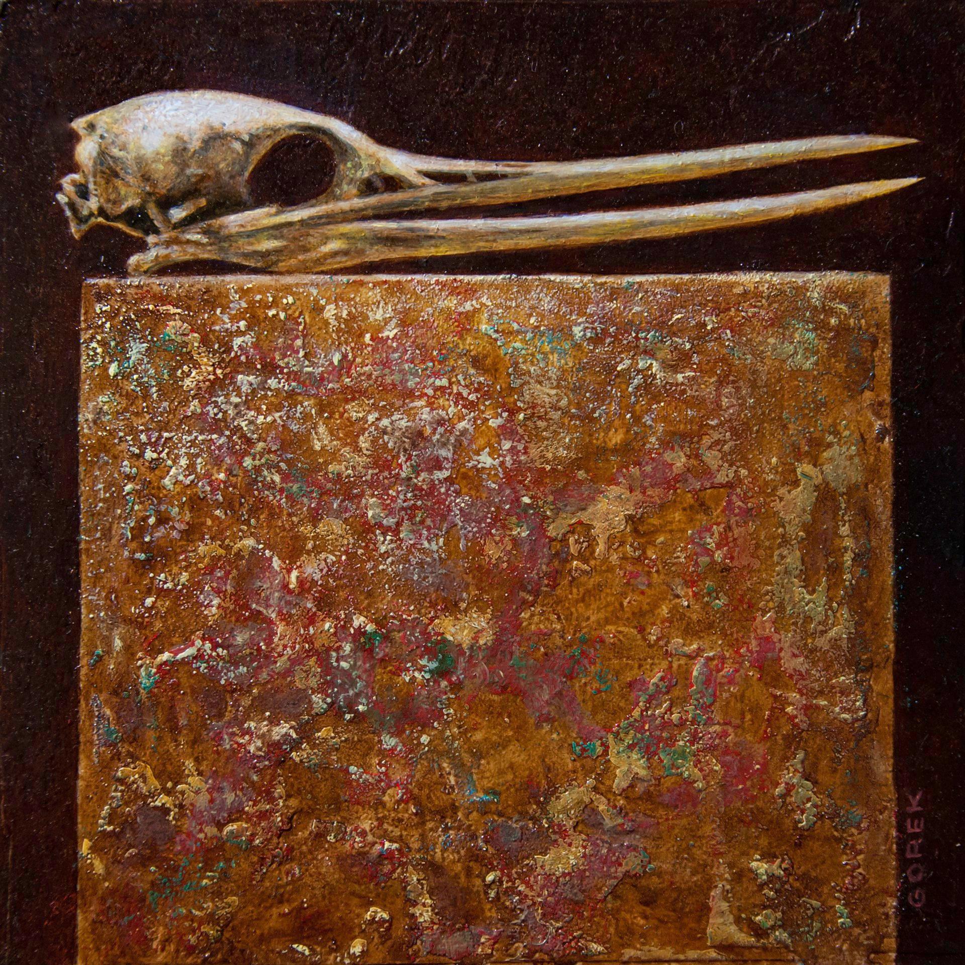 Bird Skull - Art by Thane Gorek
