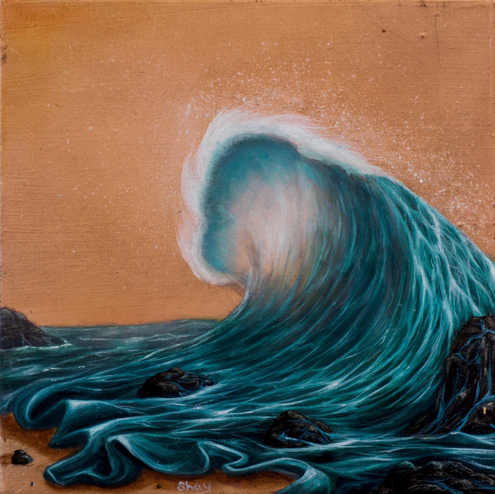 The Warm Wave - Art by Shay Davis