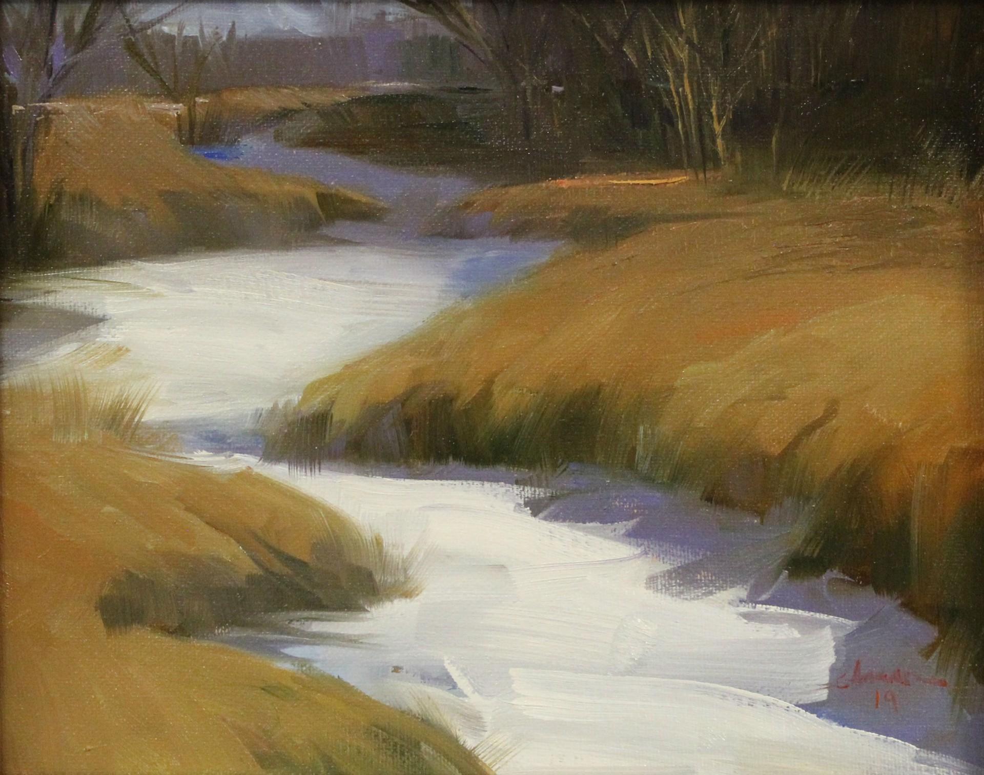 Cherry Creek - Art by Ali Ghassan