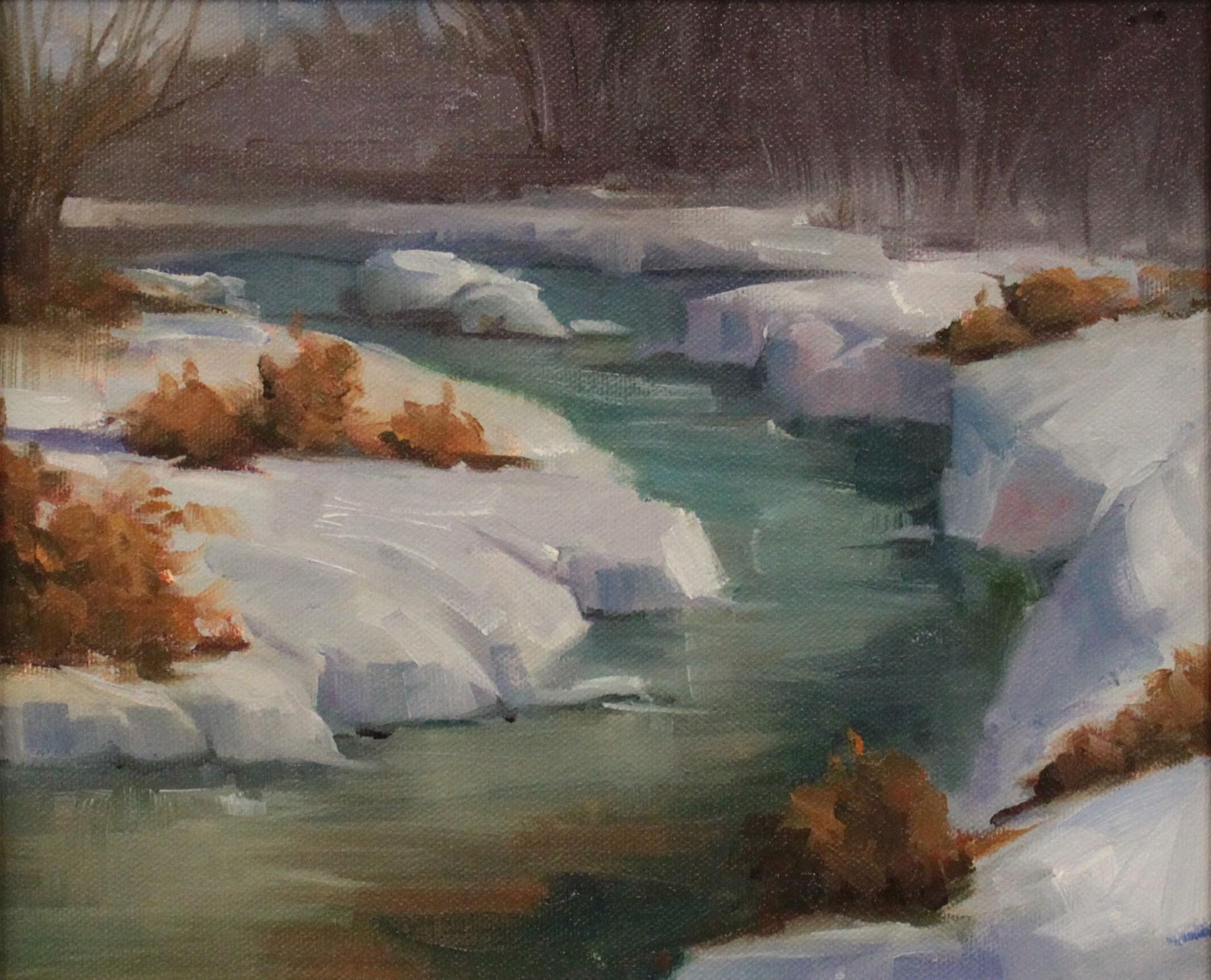 Cherry Creek 1