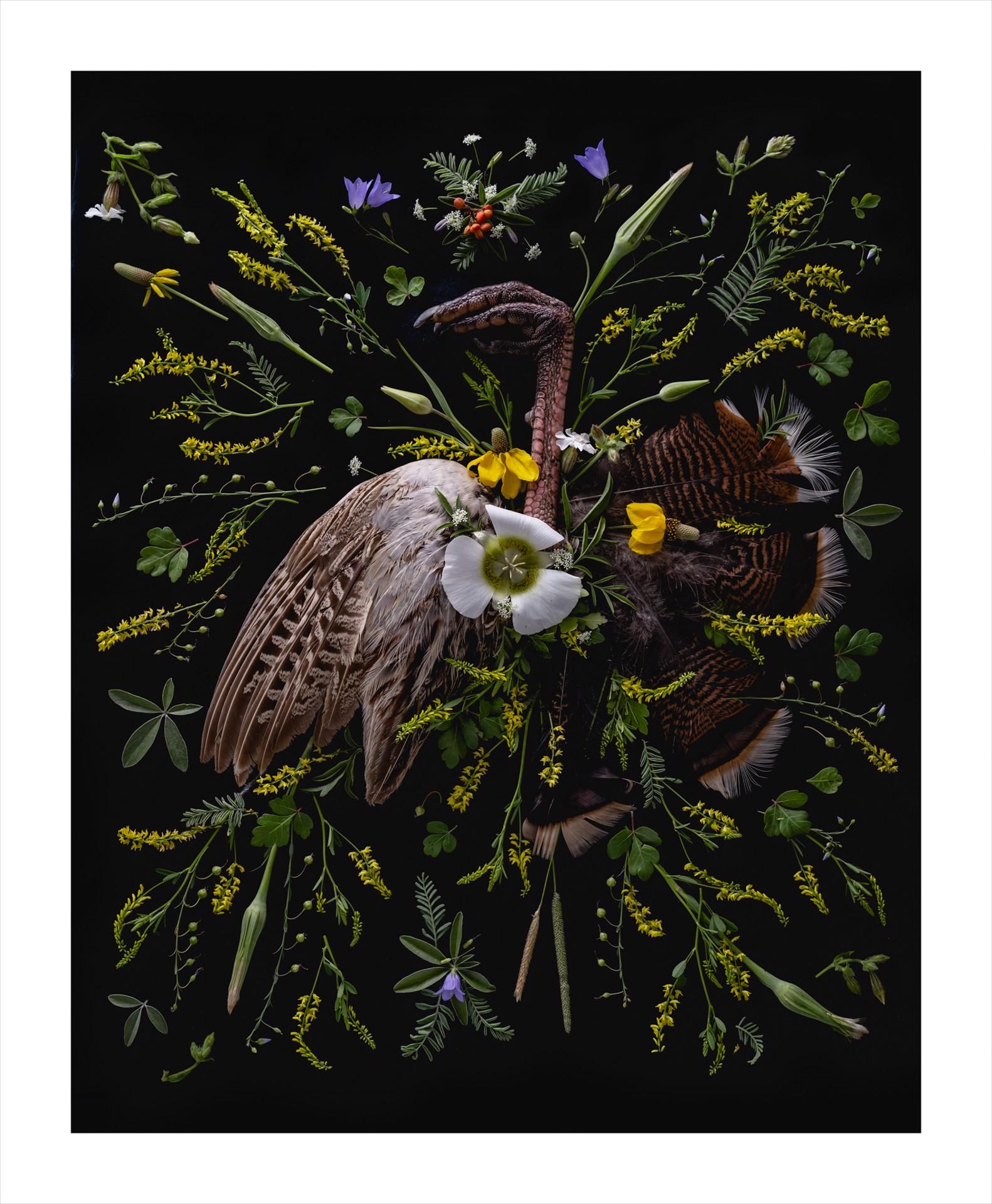 Offre II (offre) - Art de Jenya Chernoff