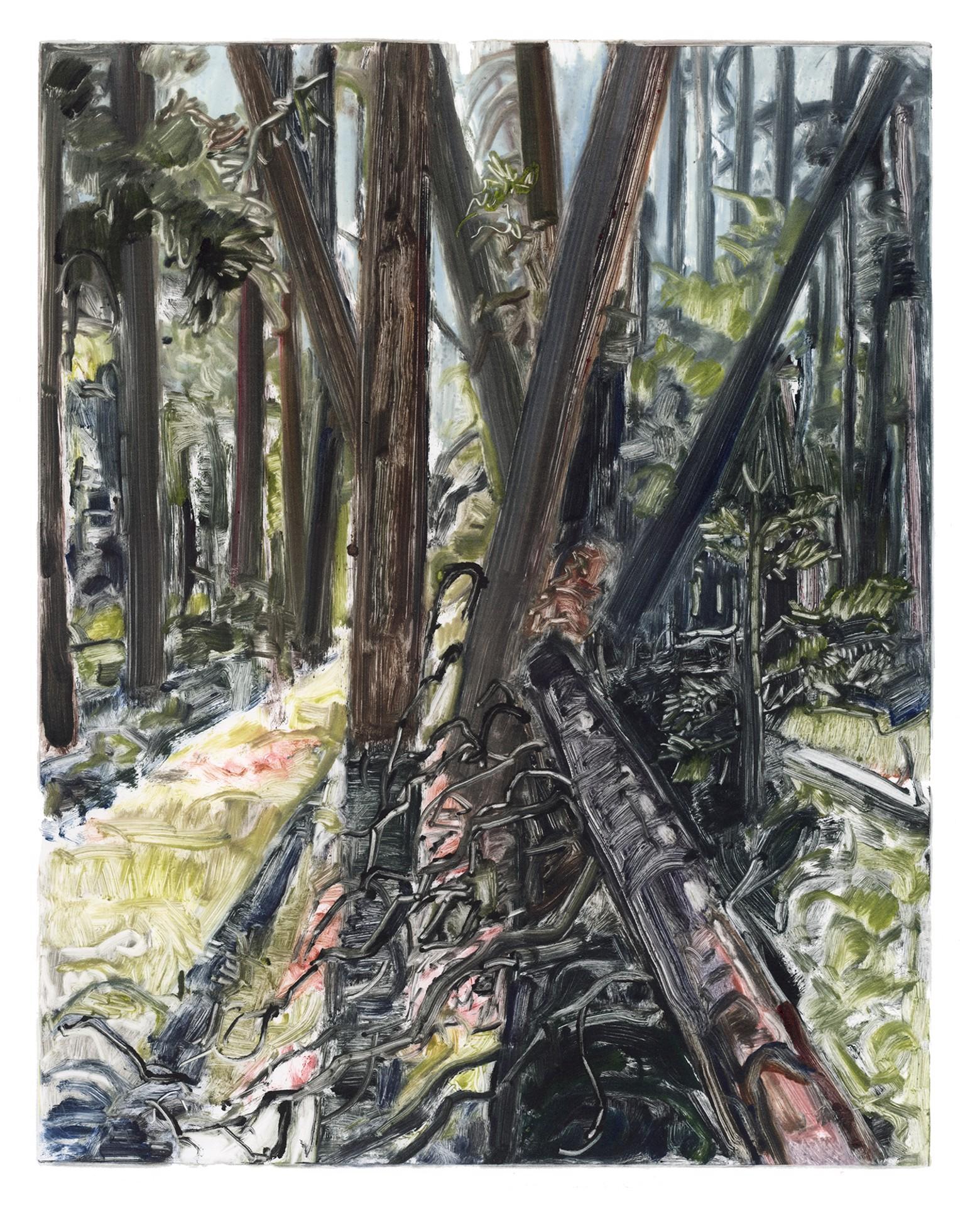 Light Between Drought (La lumière entre les deux - Art de Ivy Hickam