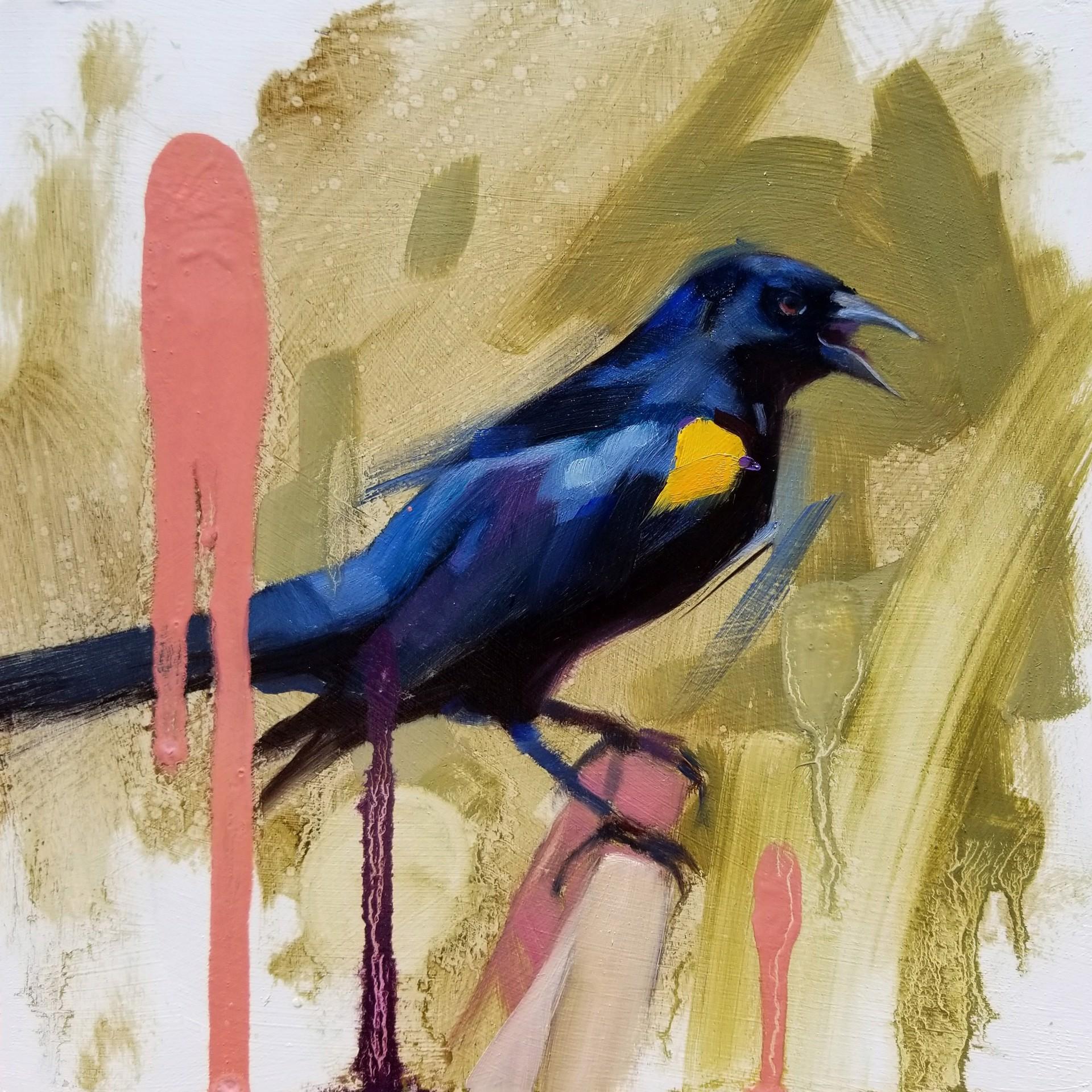 YS Blackbird - Art by Ryan Morse