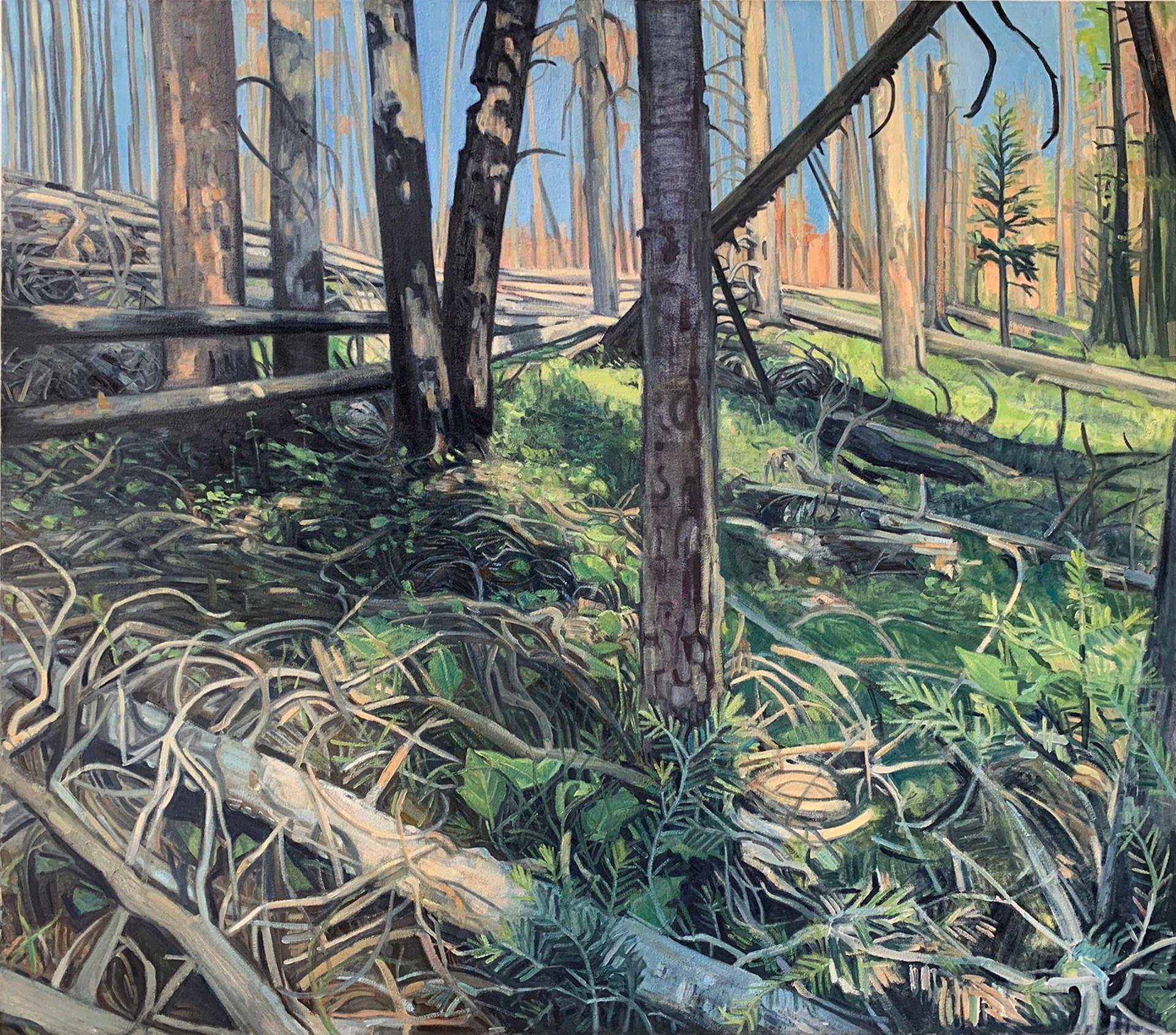 Undergrowth, Regrowth - Art by Ivy Hickam