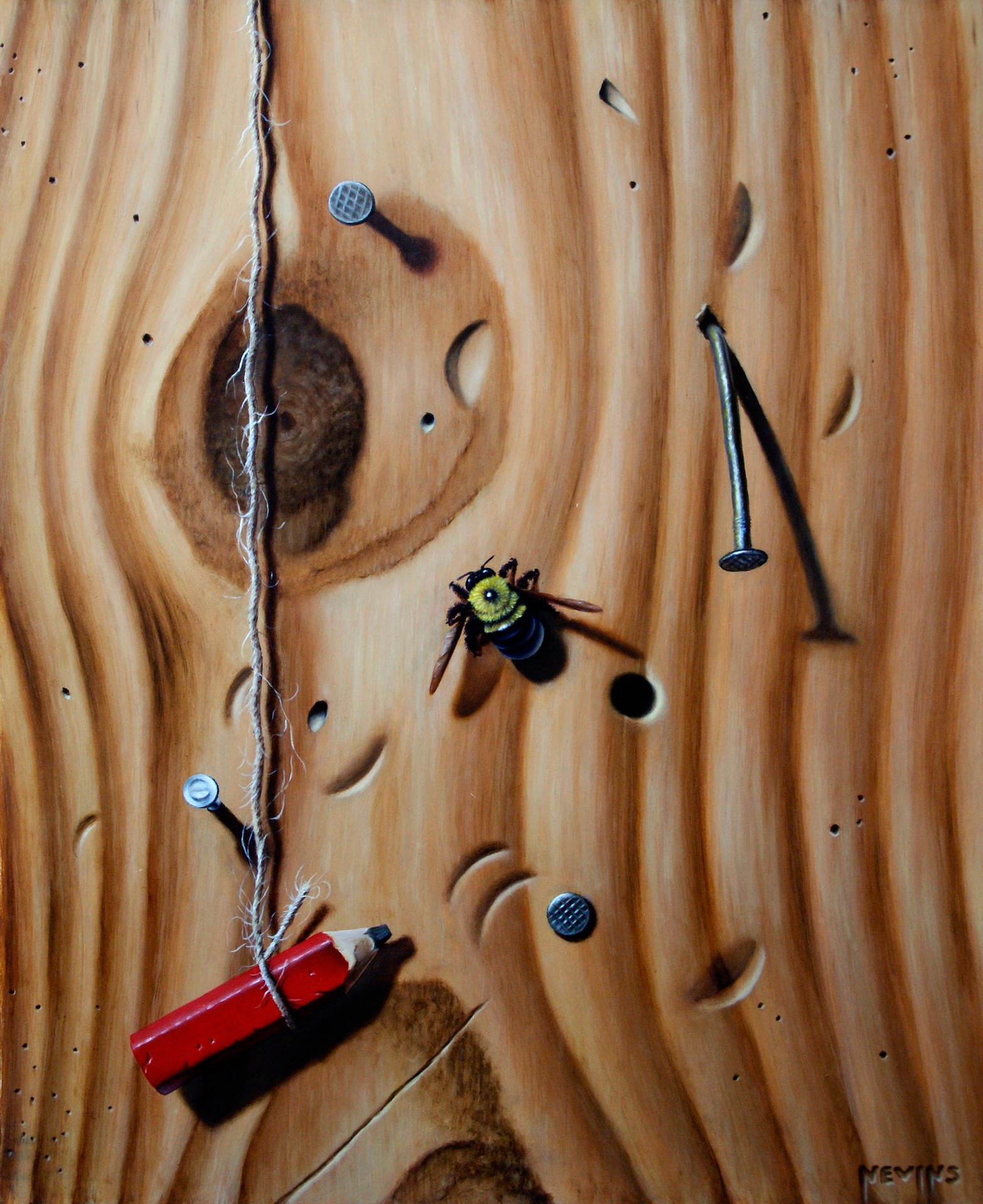 Ape carpentiera