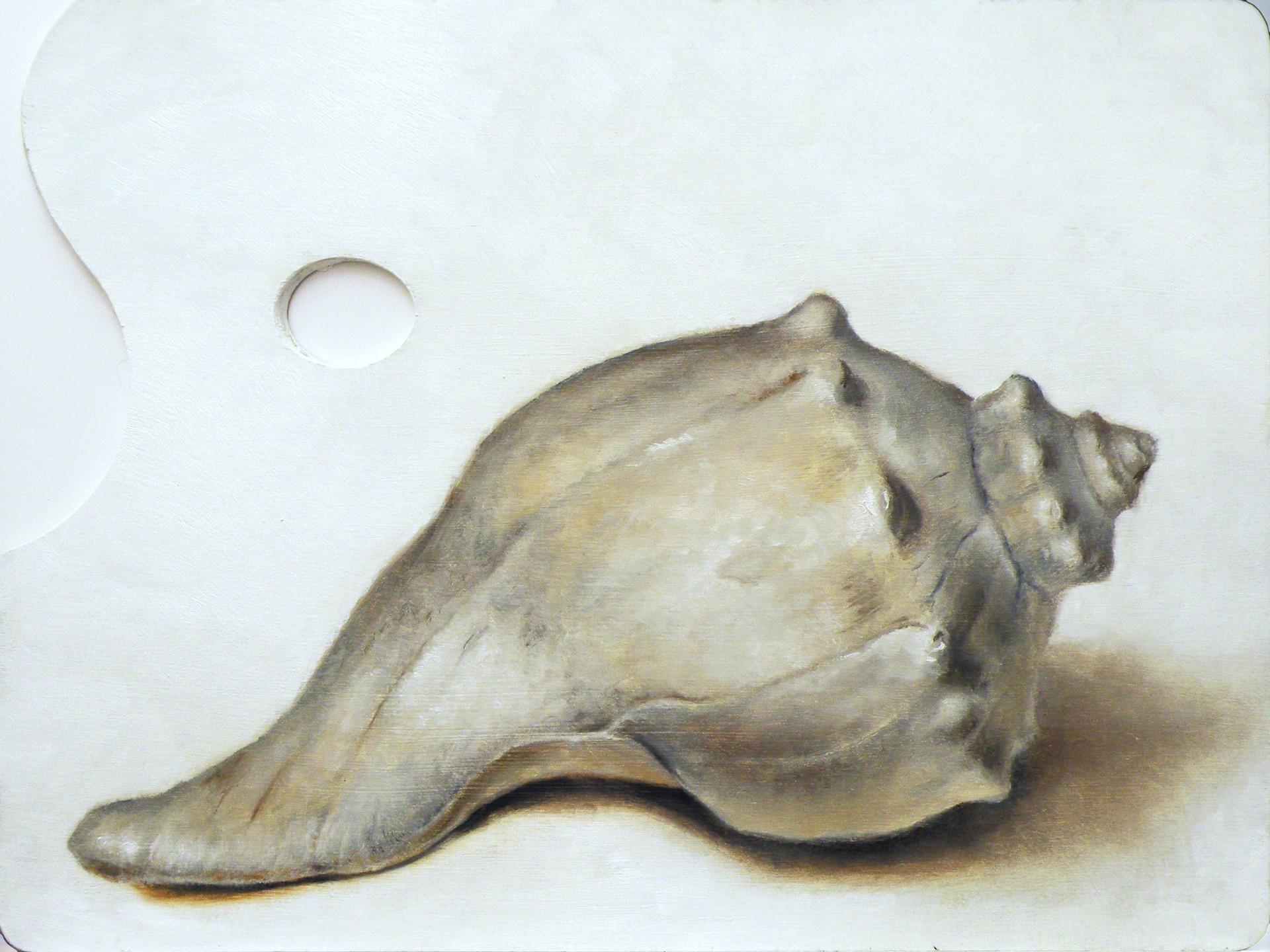 Conch - Art by Daniel Maidman