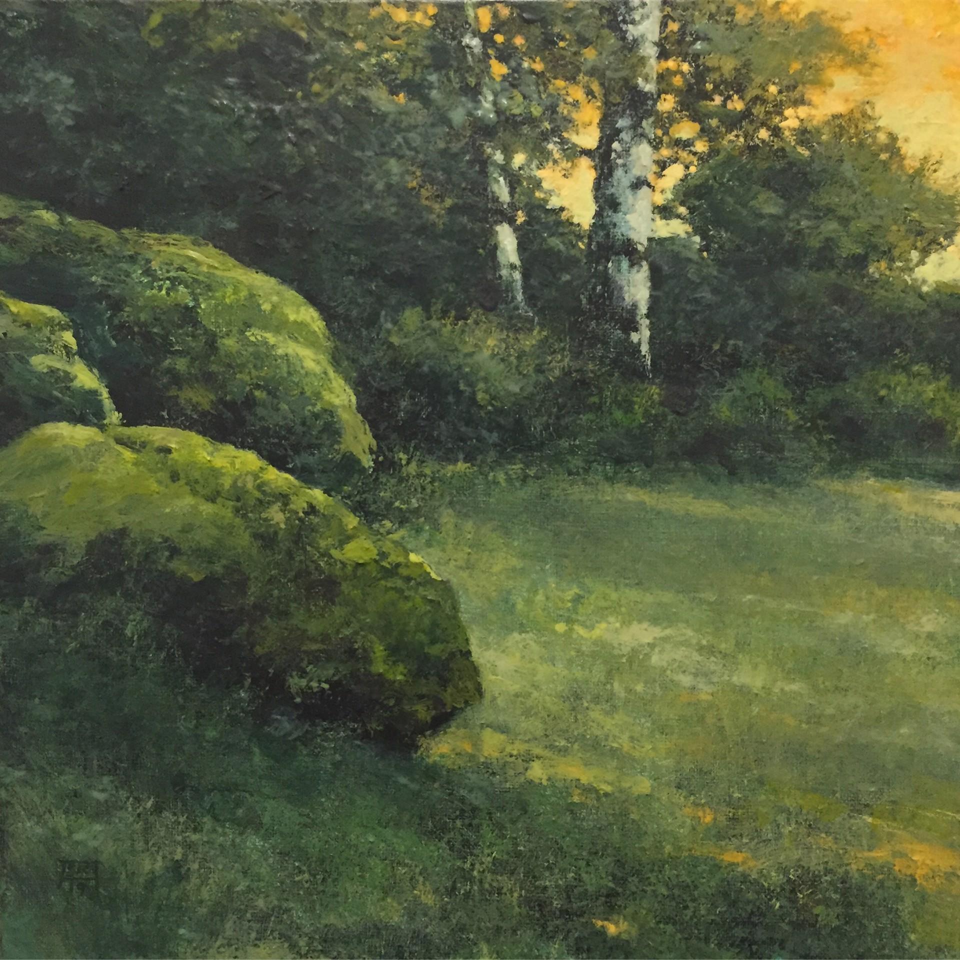 Field and Stone Study - Art by Shawn Krueger