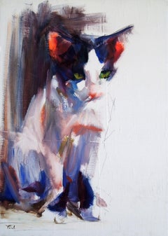 Kitten Study