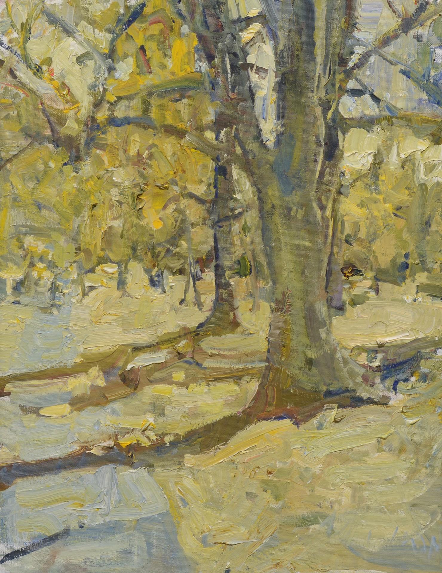 Parque Cheesman - Art de Mikael Olson