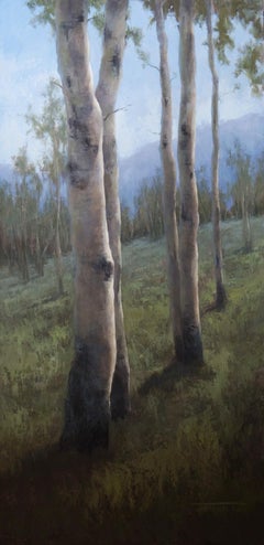 Aspen Grove