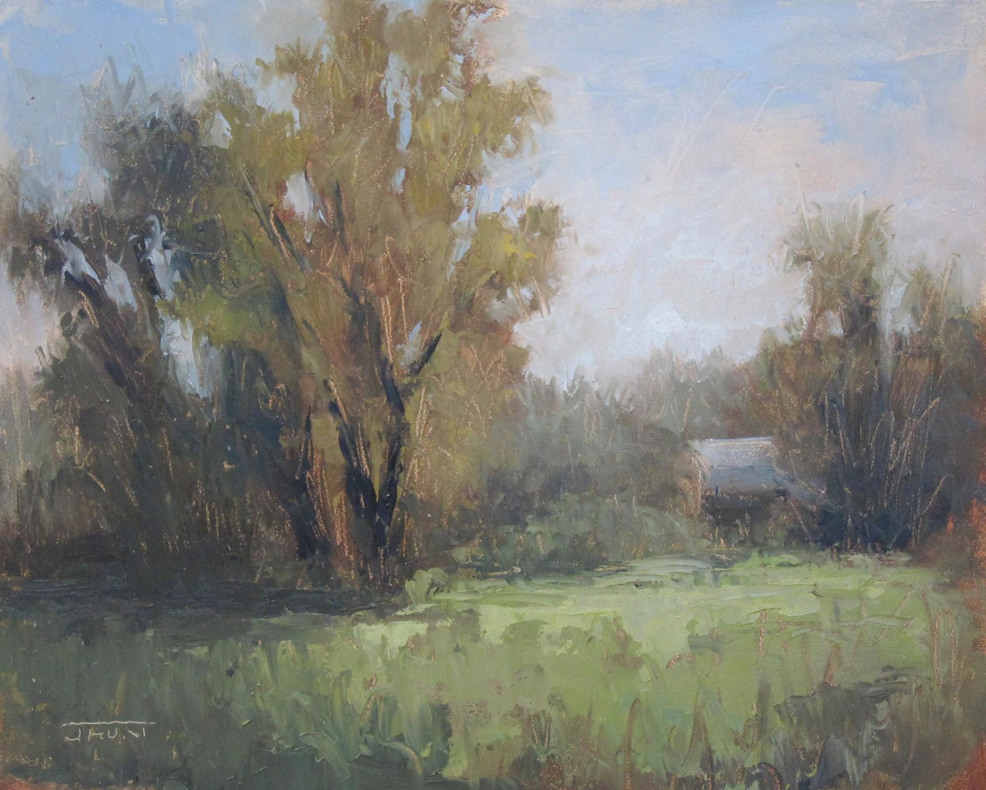 Near Walden Pond - Art by Jane Hunt