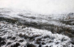 Cape Spear in the Snow