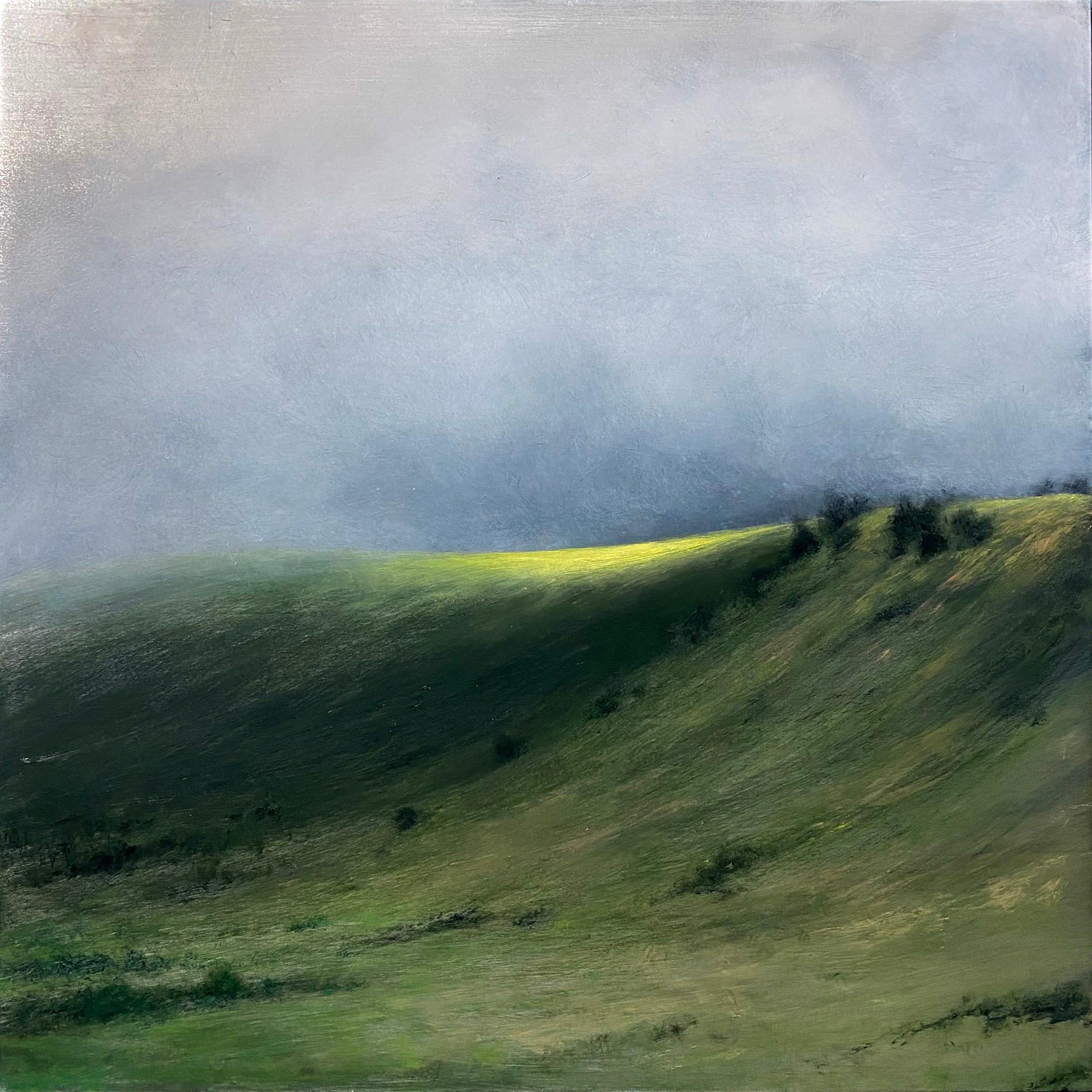 Lisa Lebofsky Landscape Painting - Earth