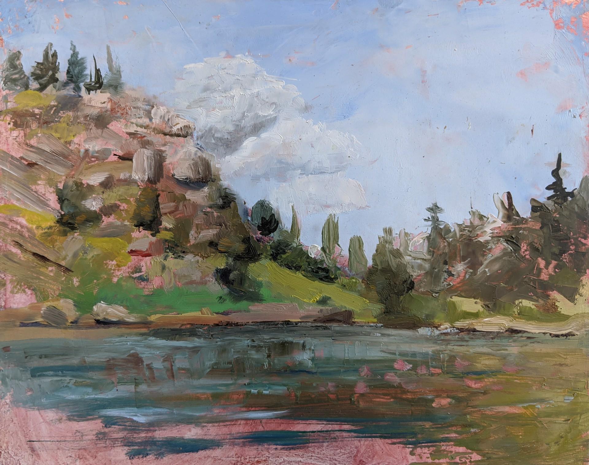 La journée au lac - Art de Caitlin Hurd