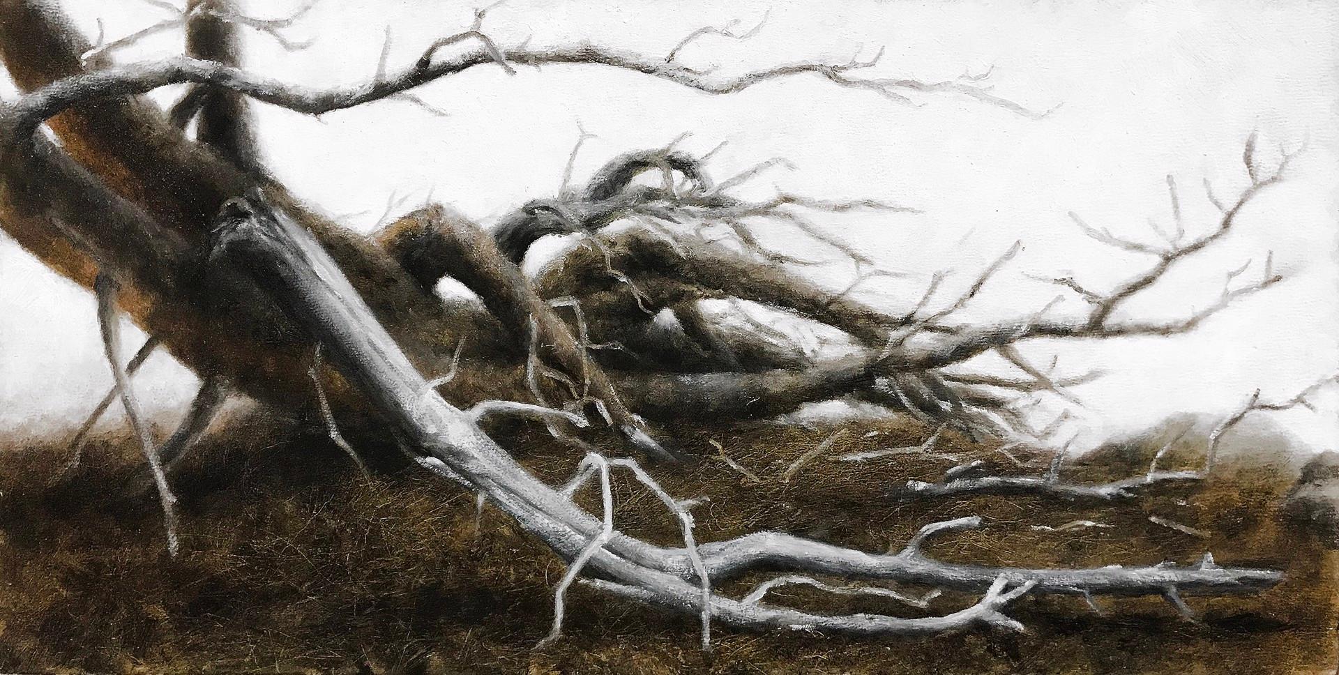 Figurative Painting di Lisa Lebofsky - Ponderosa - Epidemia di coleottero del pino di montagna