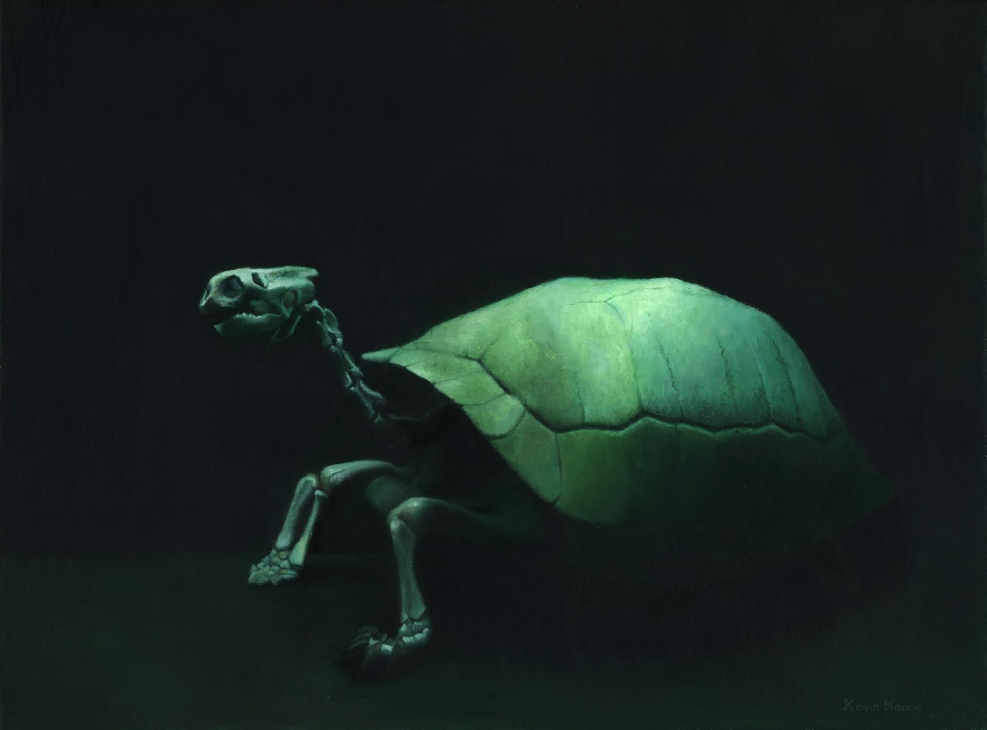 Lonesome George - Art by Kevin A. Moore