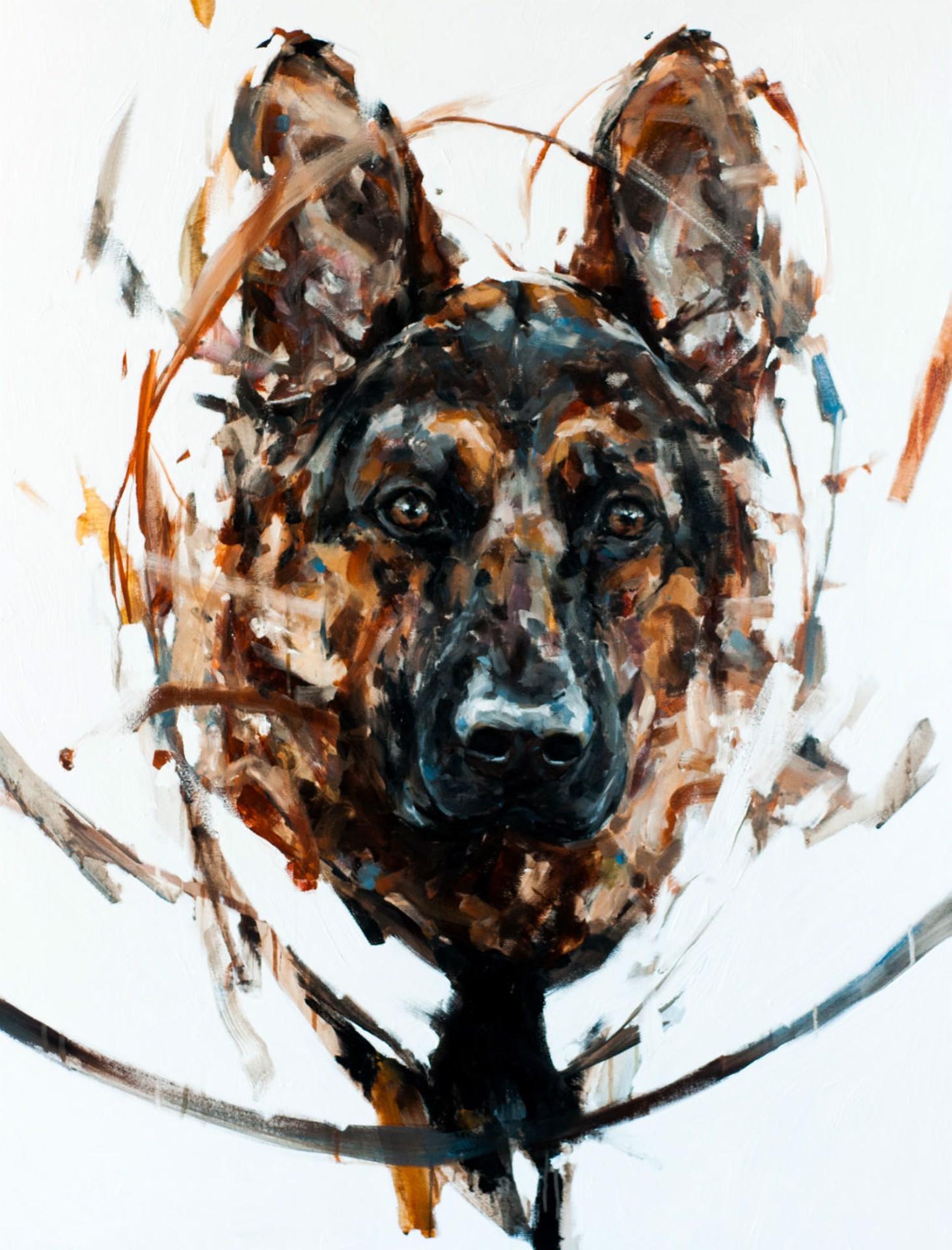 German Shepard 2 - Art de Thibault Jandot