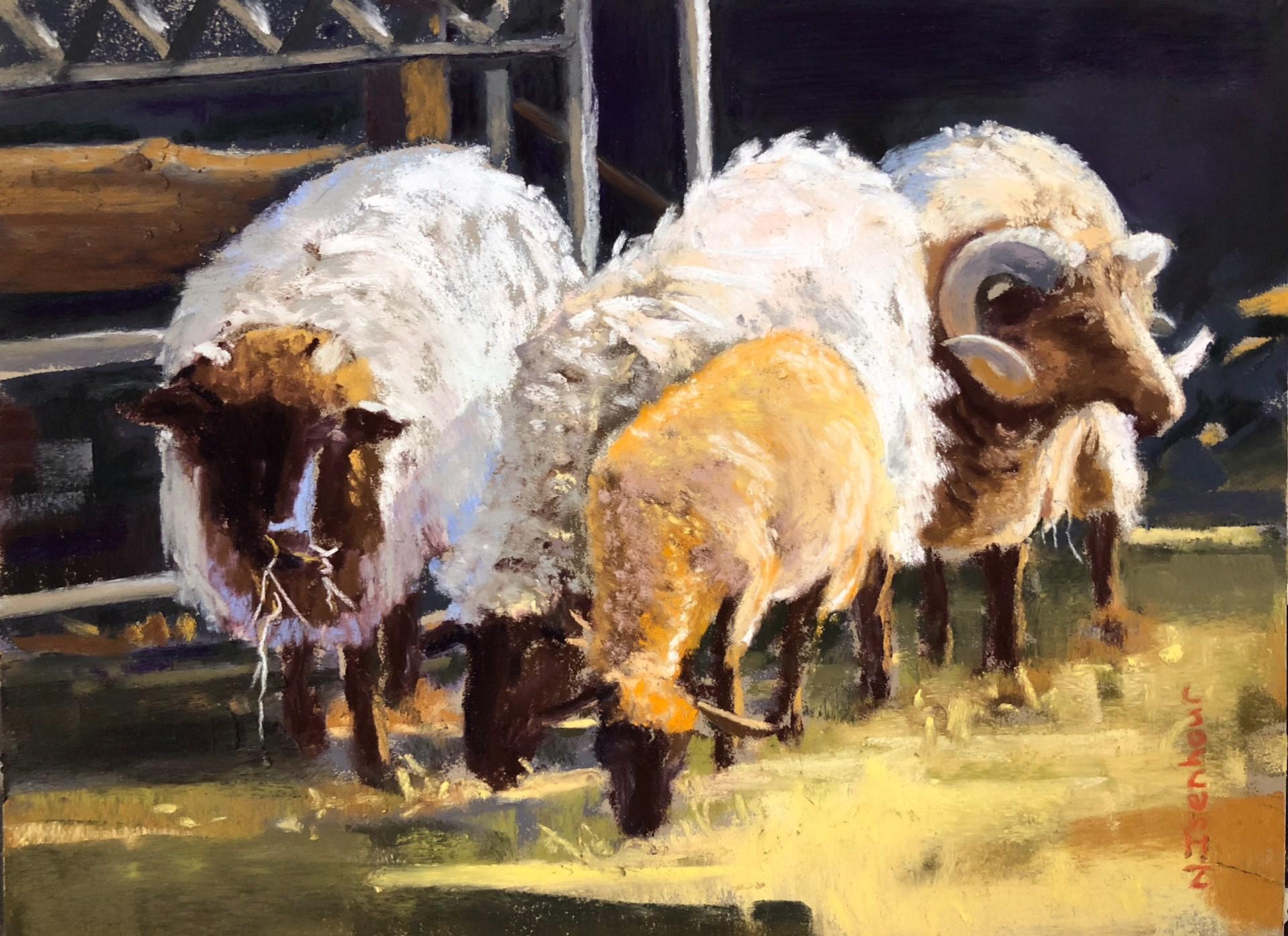 Dettaglio sicurezza - Art di Natasha Isenhour