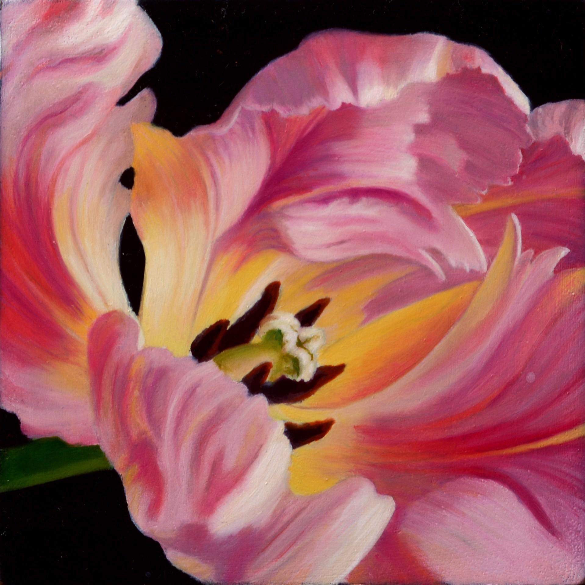 Pink Tulip - Art by Sarah van der Helm