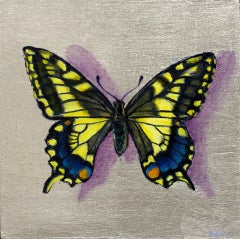Coda di rondine