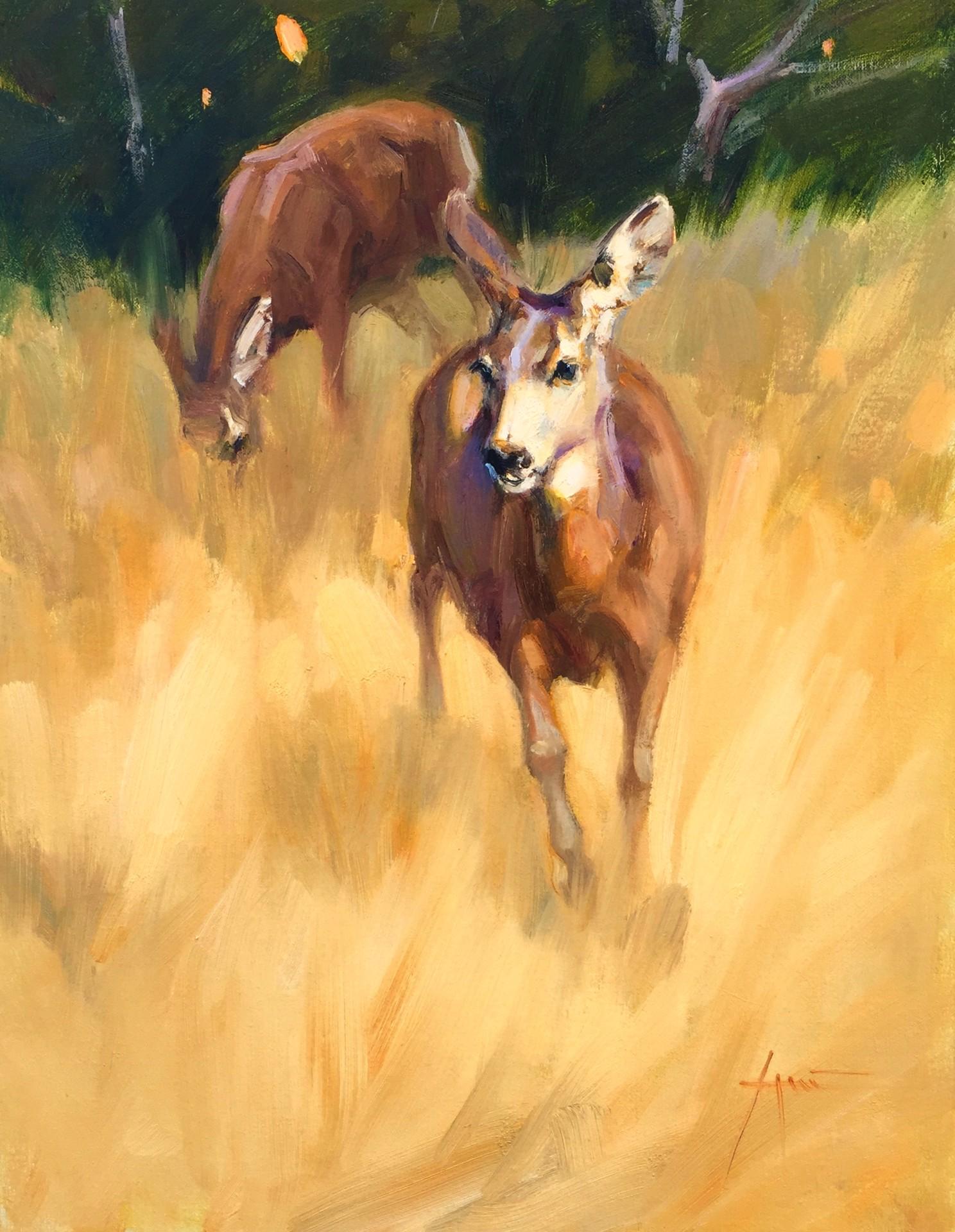 « Morning Wanderers » - Art de Lani Vlaanderen