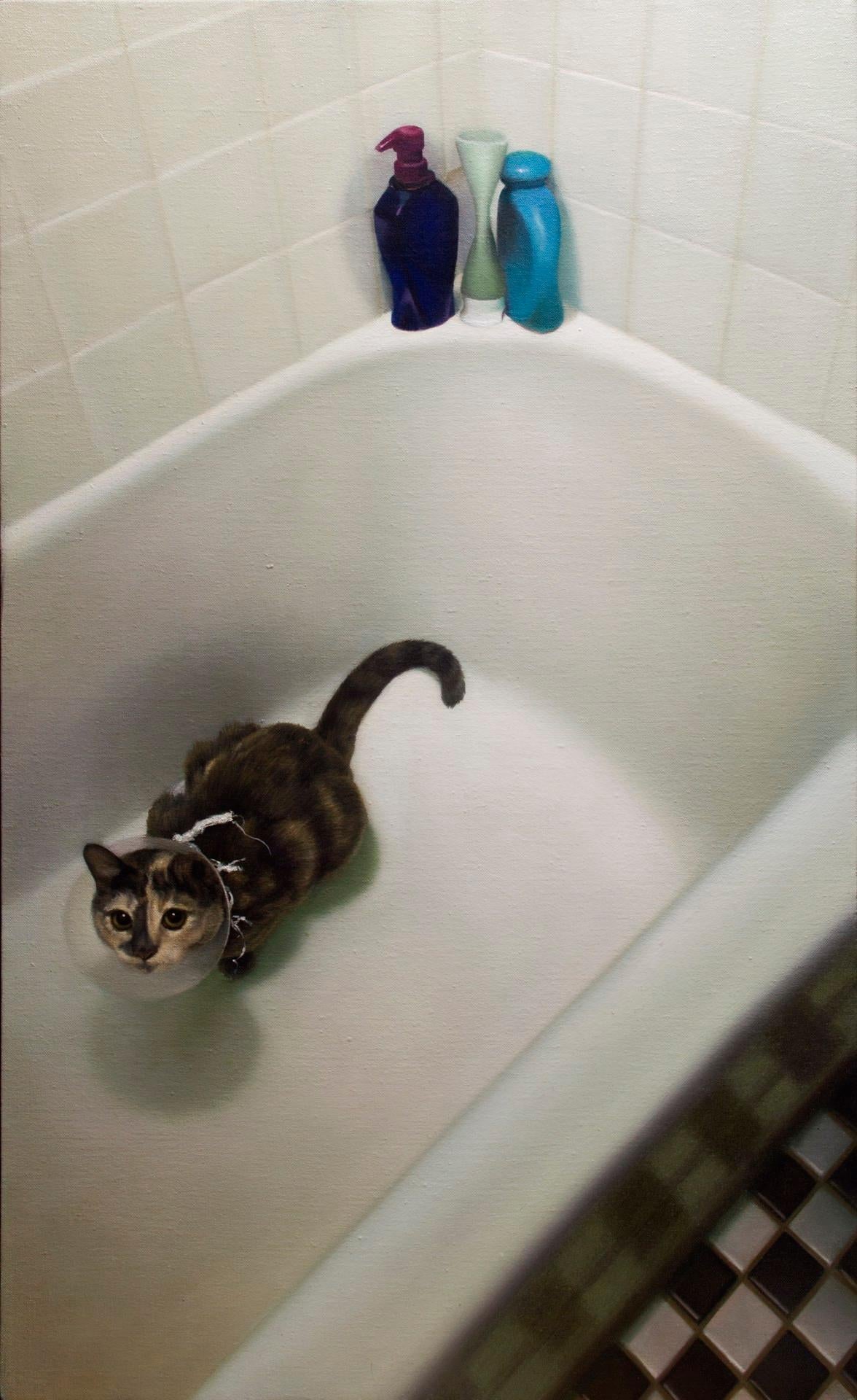 Cat in Bathtub - Art by Zane York