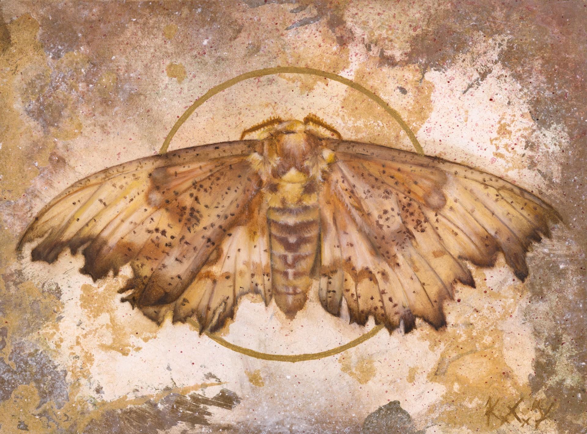 Eacles impérial - Art de Kierstin Young