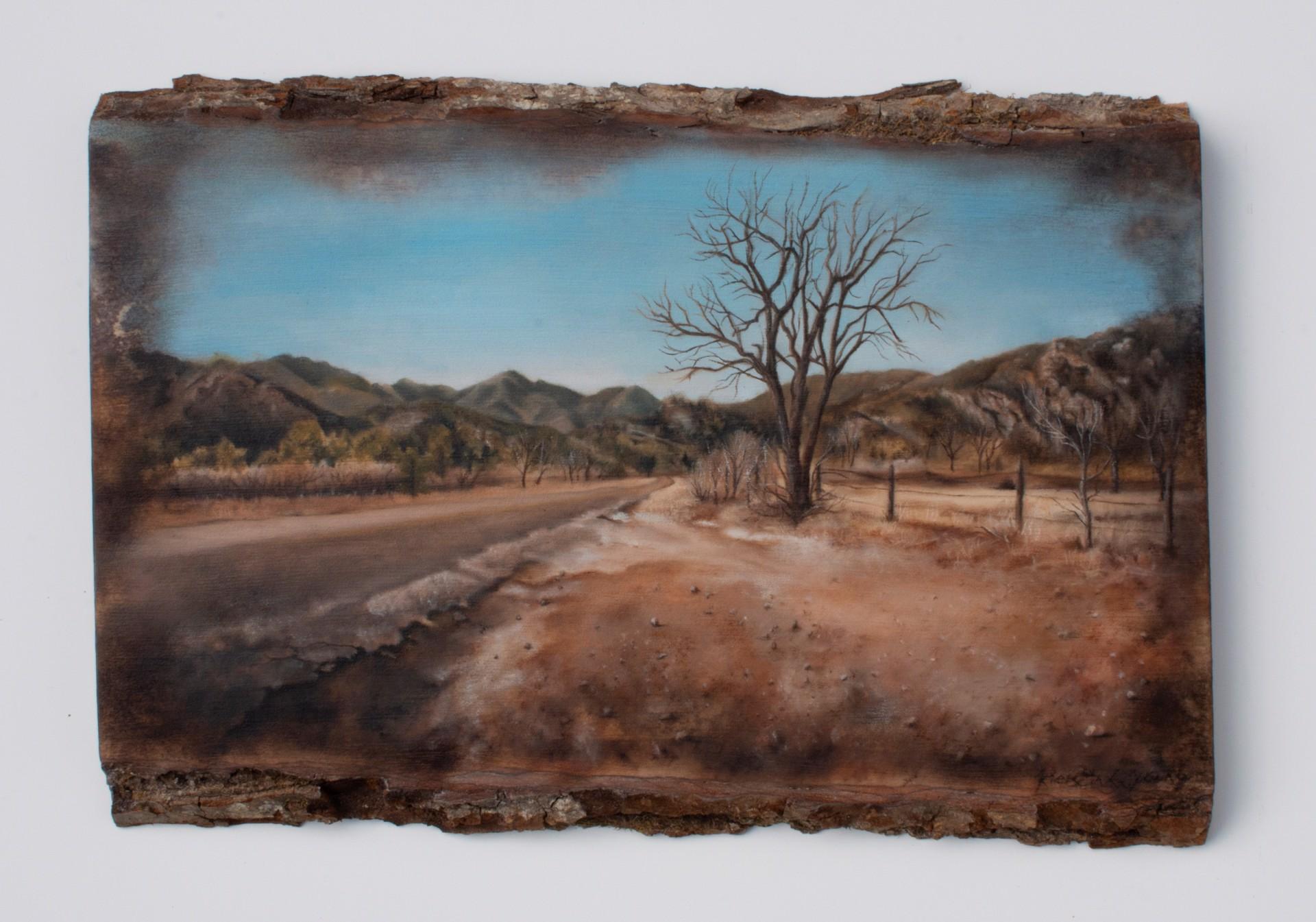 Rock Creek, Canyon Road - Art by Kierstin Young