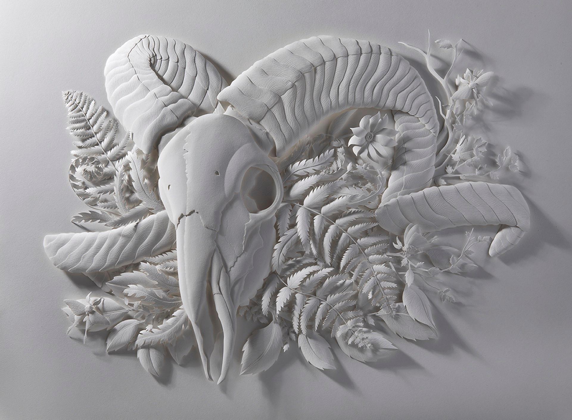 Metamorphosis - Art by Marisa Arag√≥n Ware