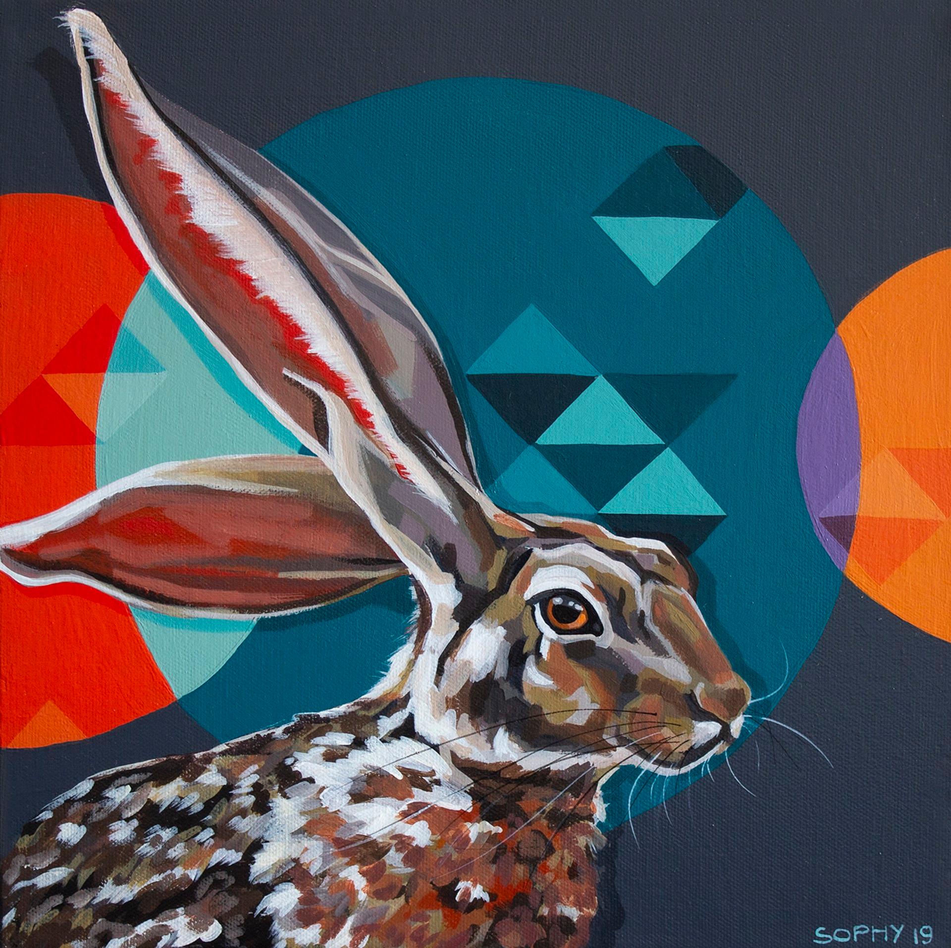 Jack Rabbit Circles - Art by Sophy Tuttle