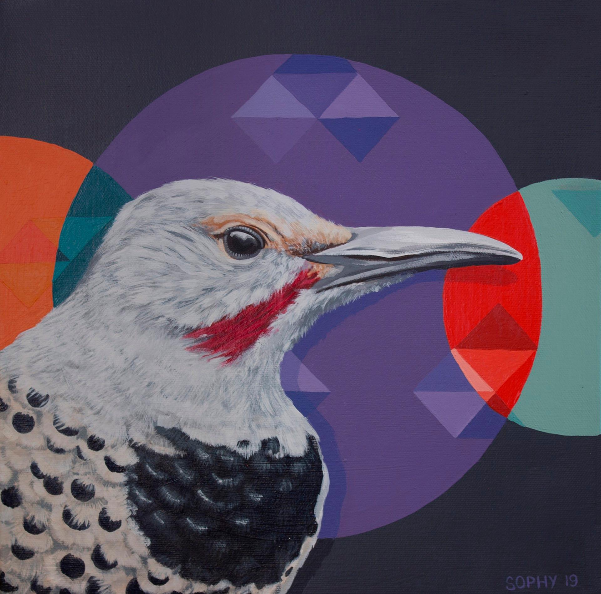 Northern Flicker Circles - Art by Sophy Tuttle