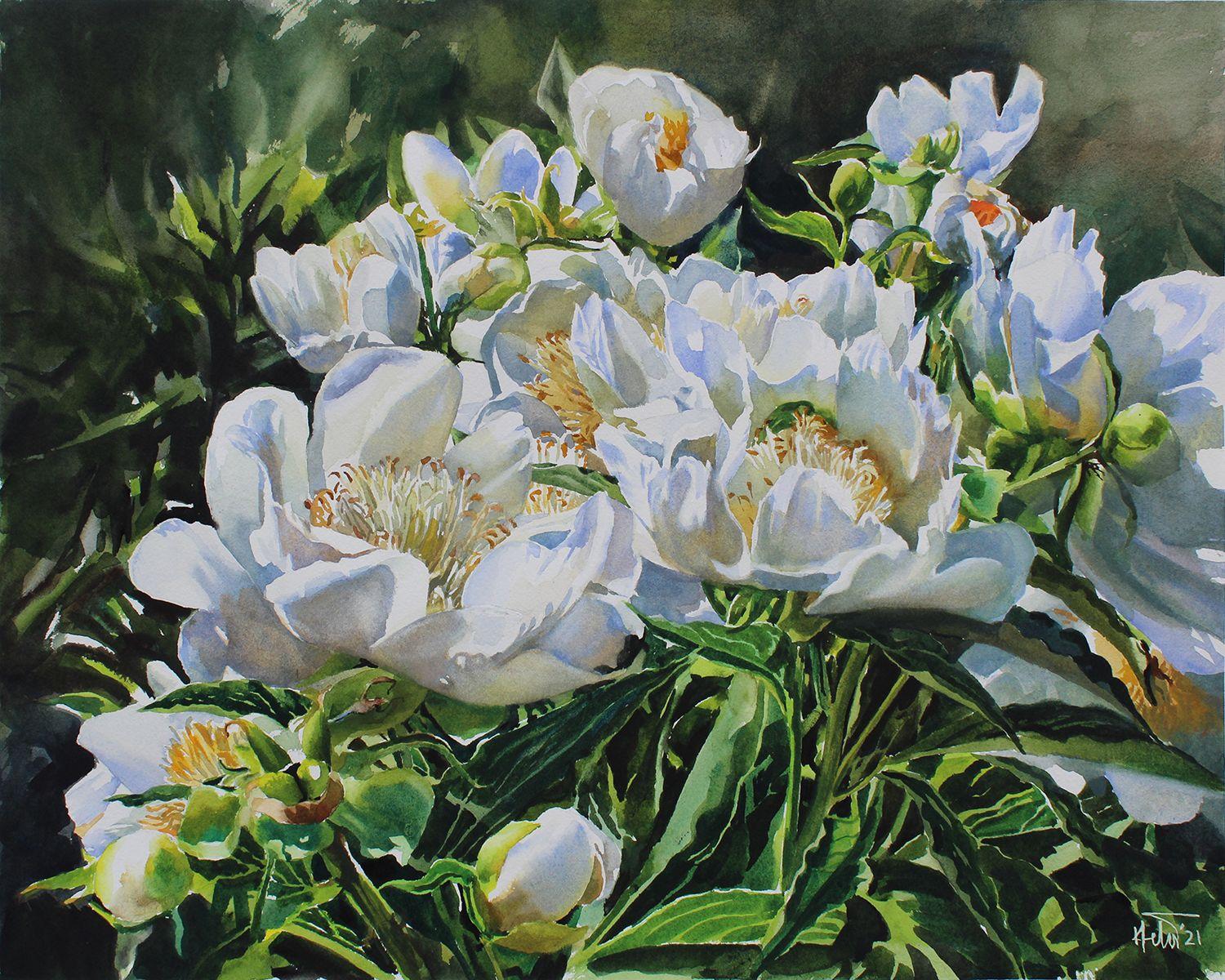 White Peony_01, Painting, Watercolor on Watercolor Paper - Art by Helal Uddin