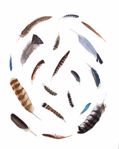 Circumventing The Migratory Bird Treaty Act of 1918