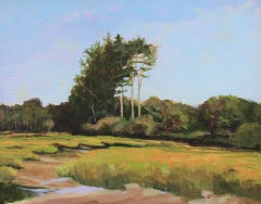 Parsons Beach Road #2