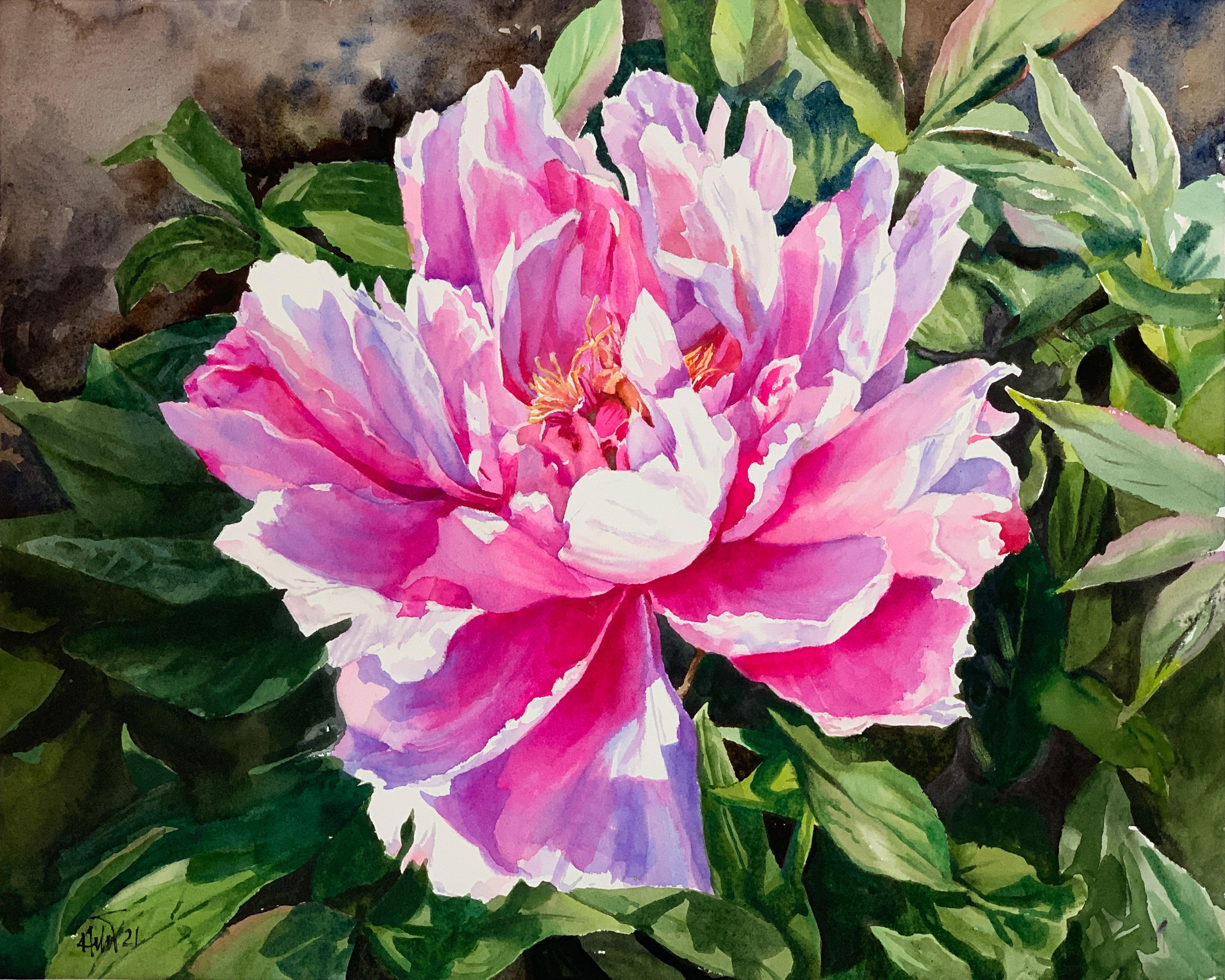 Peony_01, Painting, Watercolor on Watercolor Paper - Art by Helal Uddin
