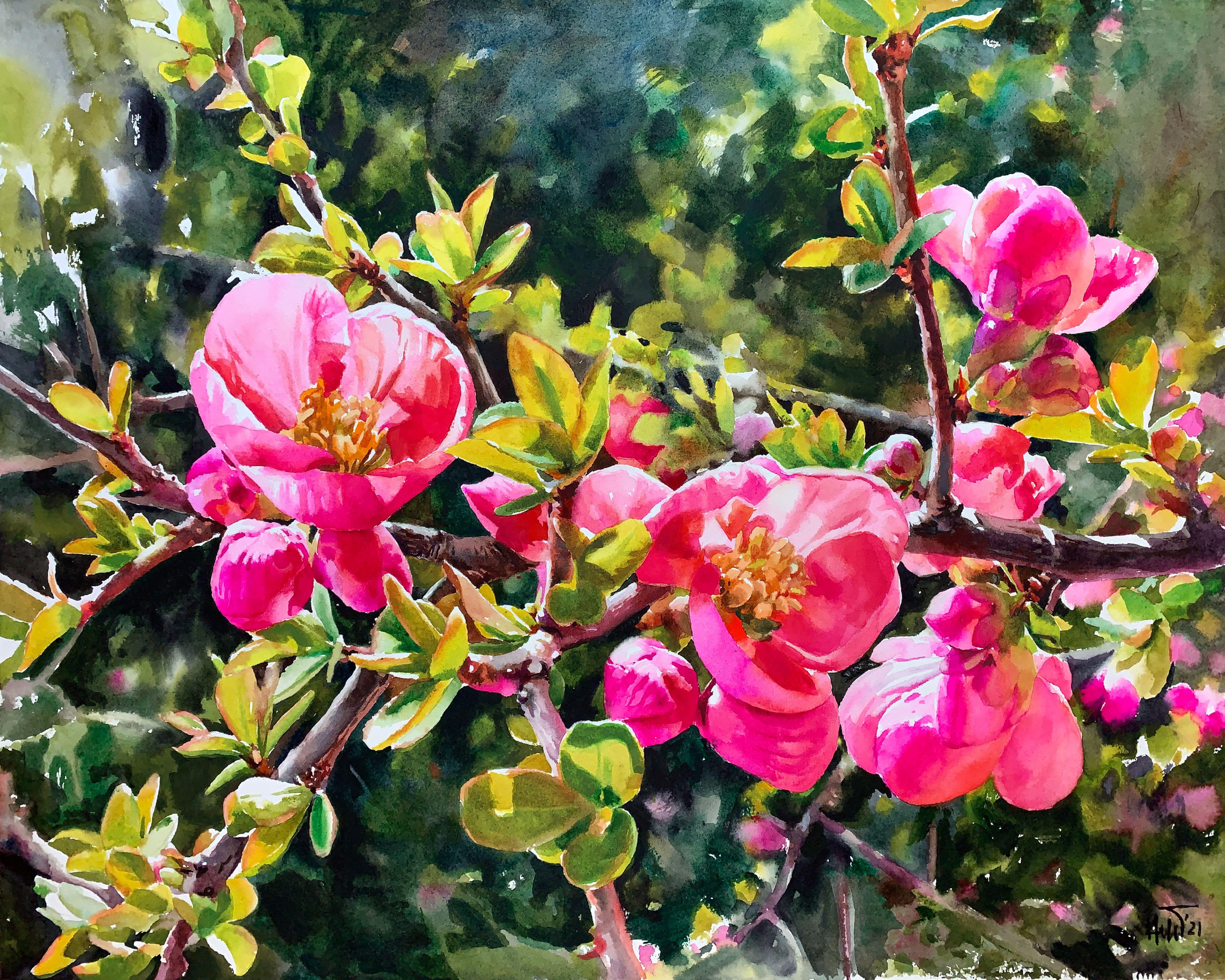 Chinese Quince, Painting, Watercolor on Watercolor Paper - Art by Helal Uddin