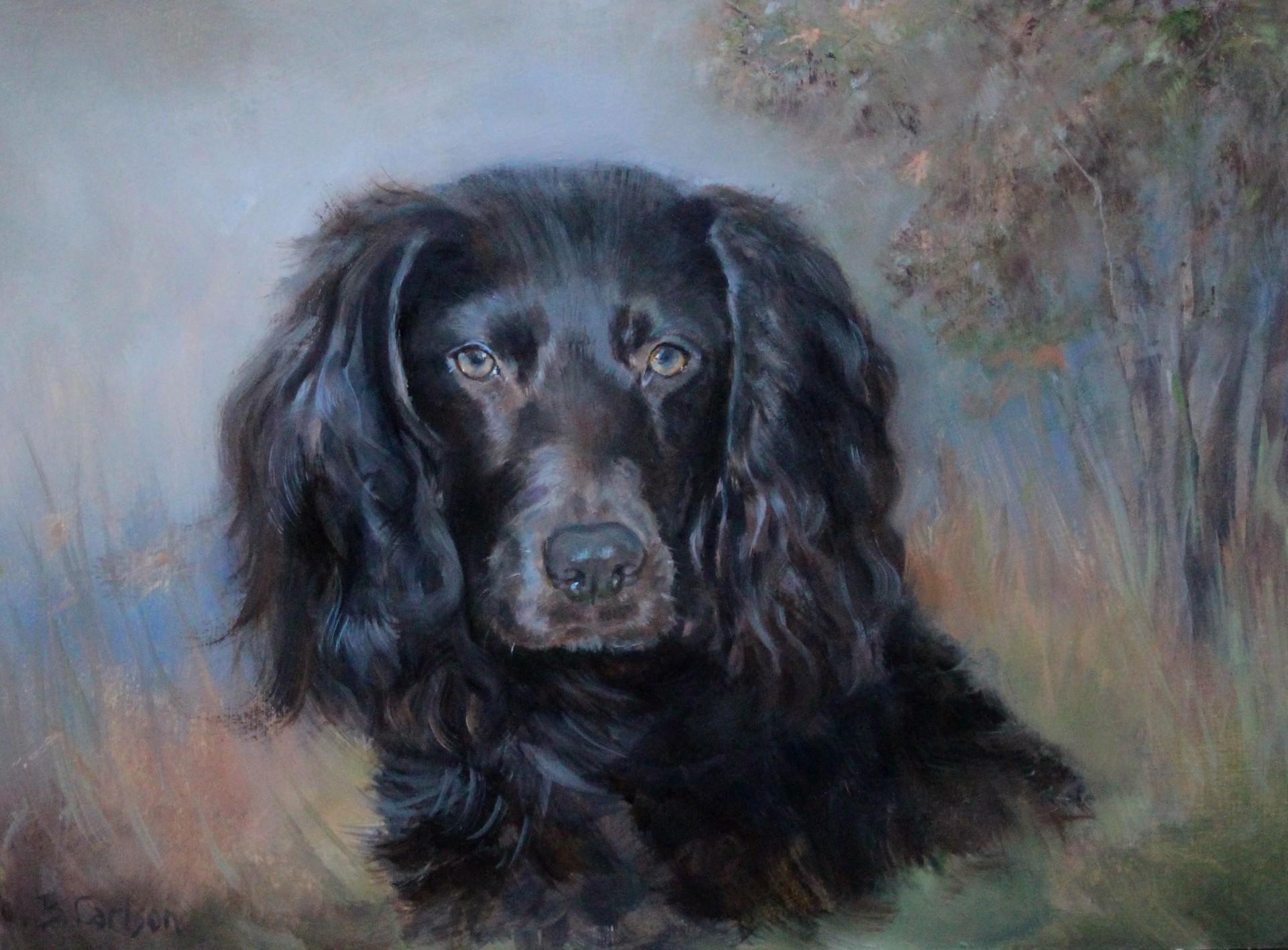 Boykin Spaniel dog painting a sporting dog and home companion,  framed