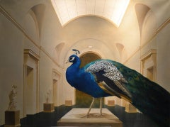 Sentinel of Beauty,  Majestic blue/green Peacock guards the museum.