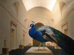 Sentinel of Beauty,  Majestic blue/green Peacock guards the museum.